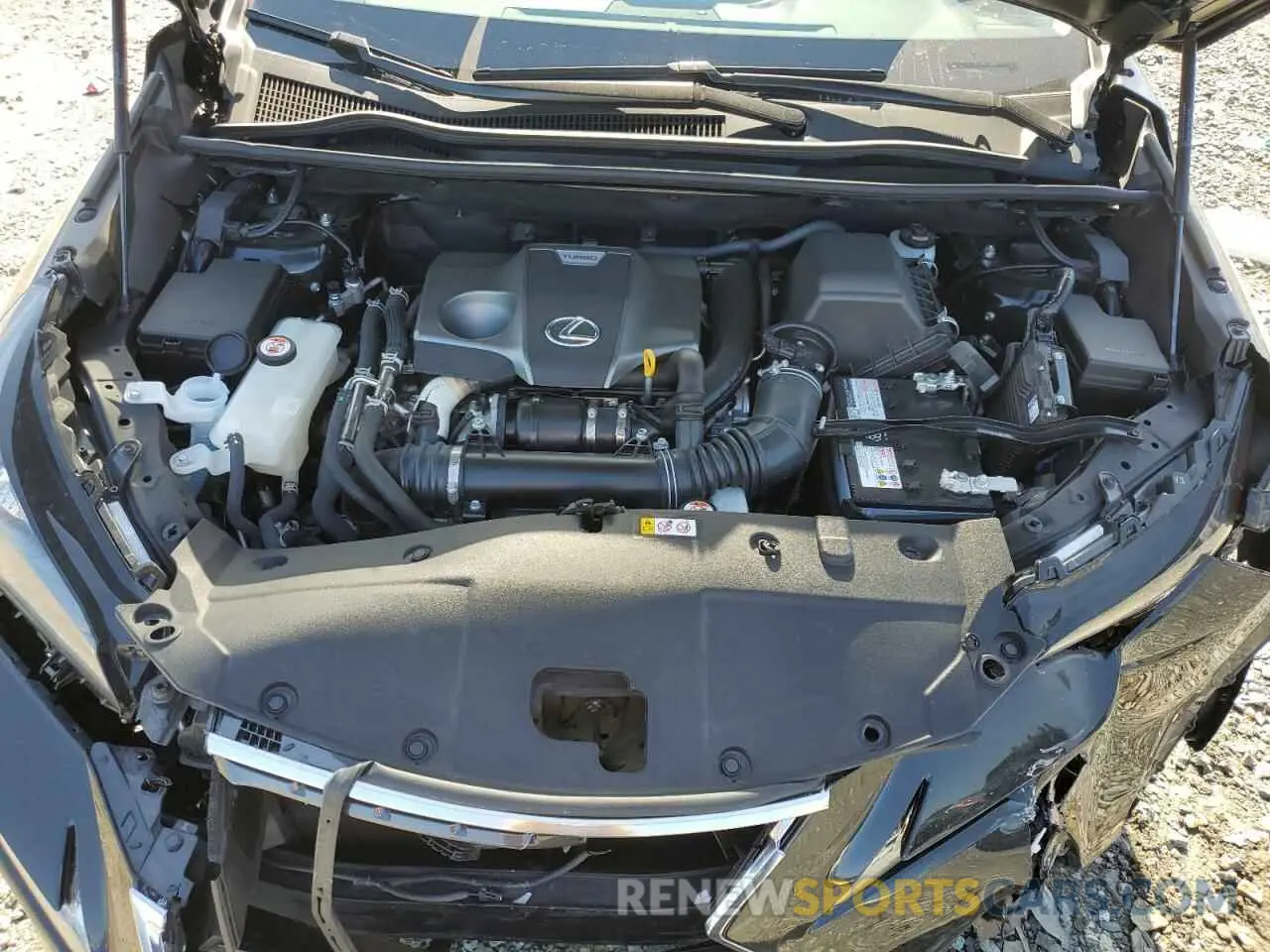 12 Photograph of a damaged car JTJGARDZ0M2257904 LEXUS NX 2021