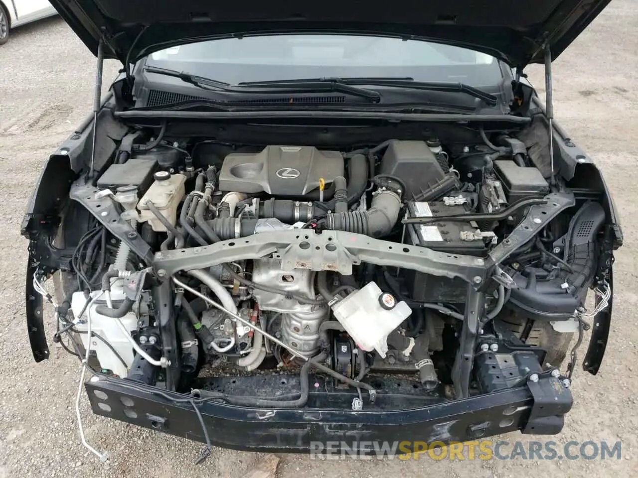 12 Photograph of a damaged car JTJGARDZ1M2256342 LEXUS NX 2021