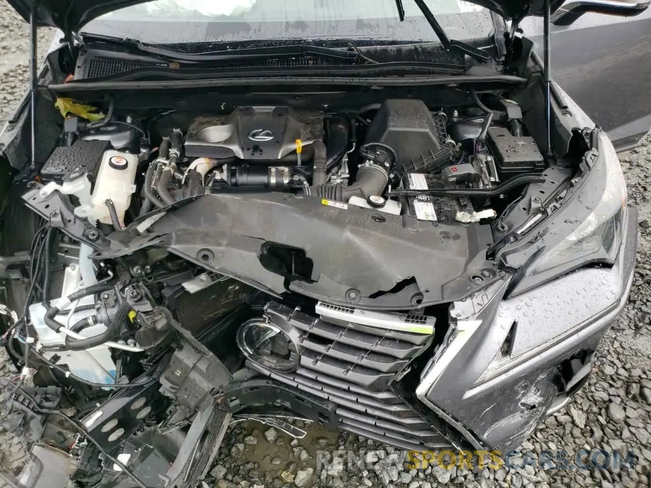12 Photograph of a damaged car JTJGARDZ4M2248381 LEXUS NX 2021