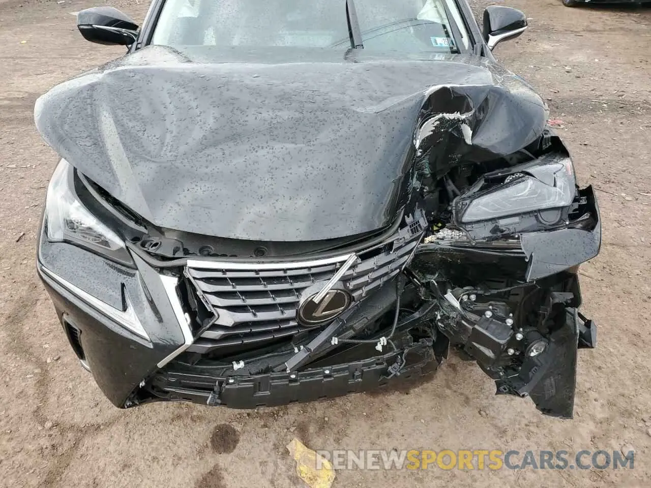 13 Photograph of a damaged car JTJGARDZ7M2243997 LEXUS NX 2021