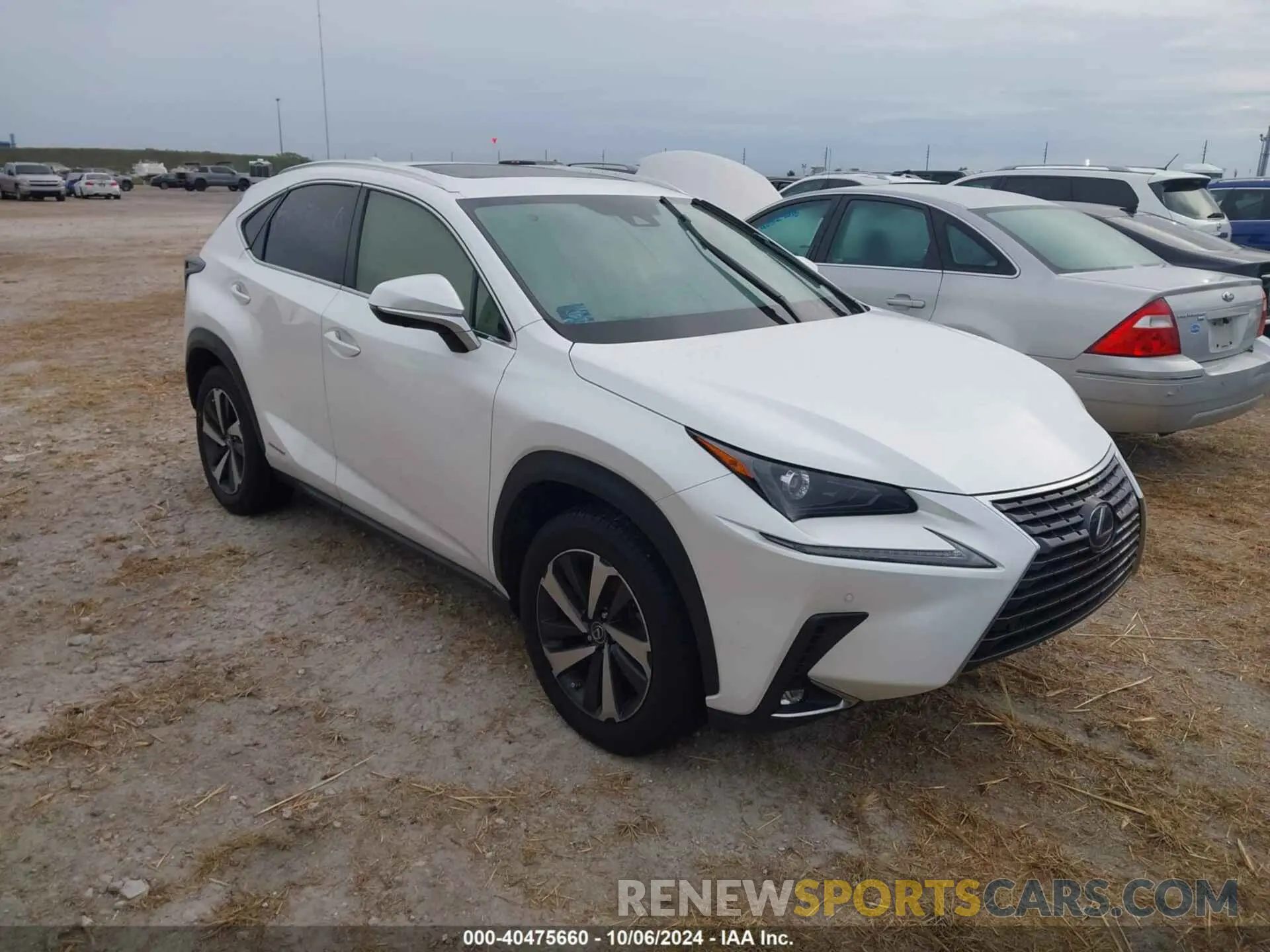 1 Фотография поврежденного автомобиля JTJGJRDZ0M2158841 LEXUS NX 2021