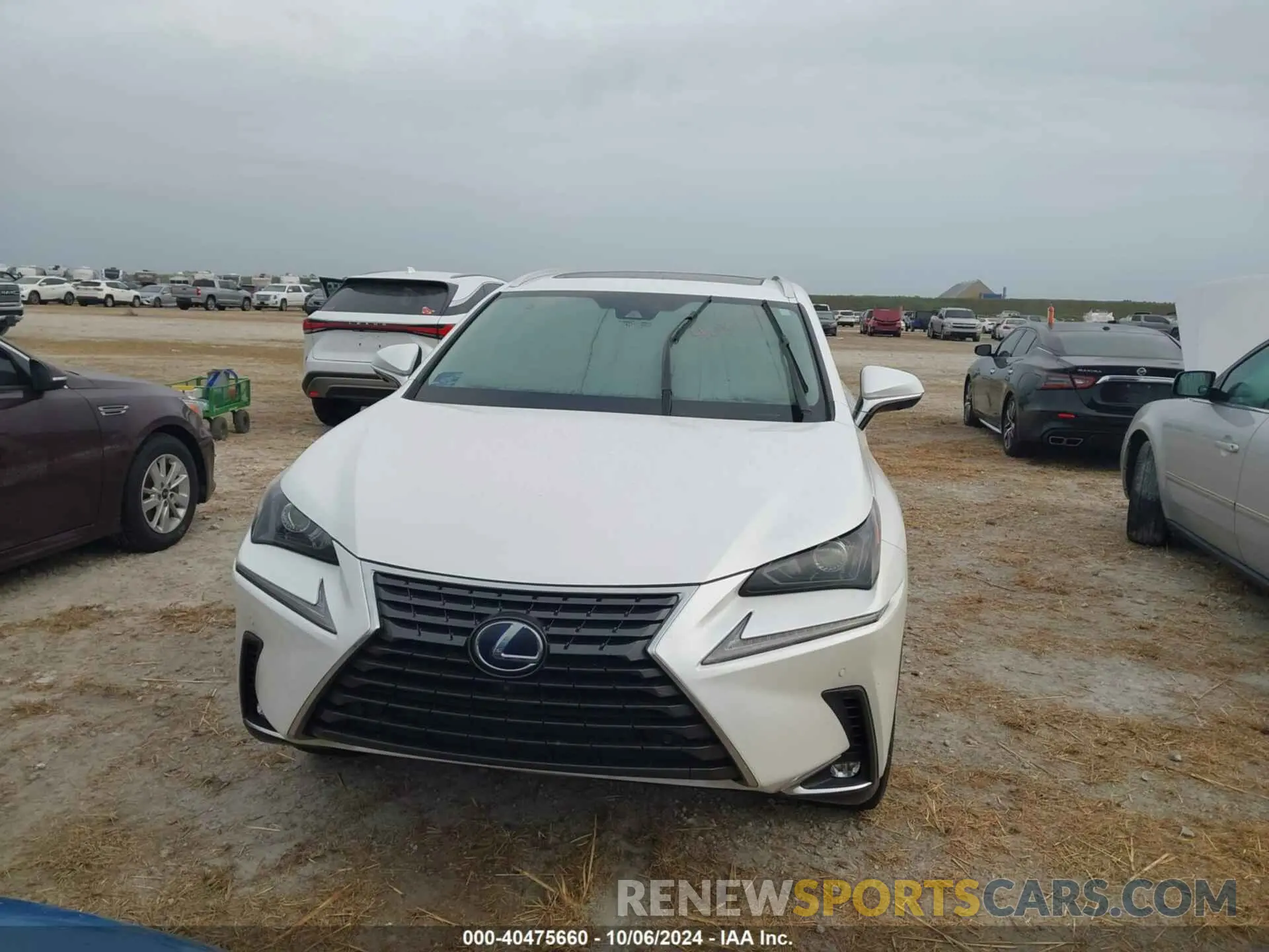 12 Фотография поврежденного автомобиля JTJGJRDZ0M2158841 LEXUS NX 2021