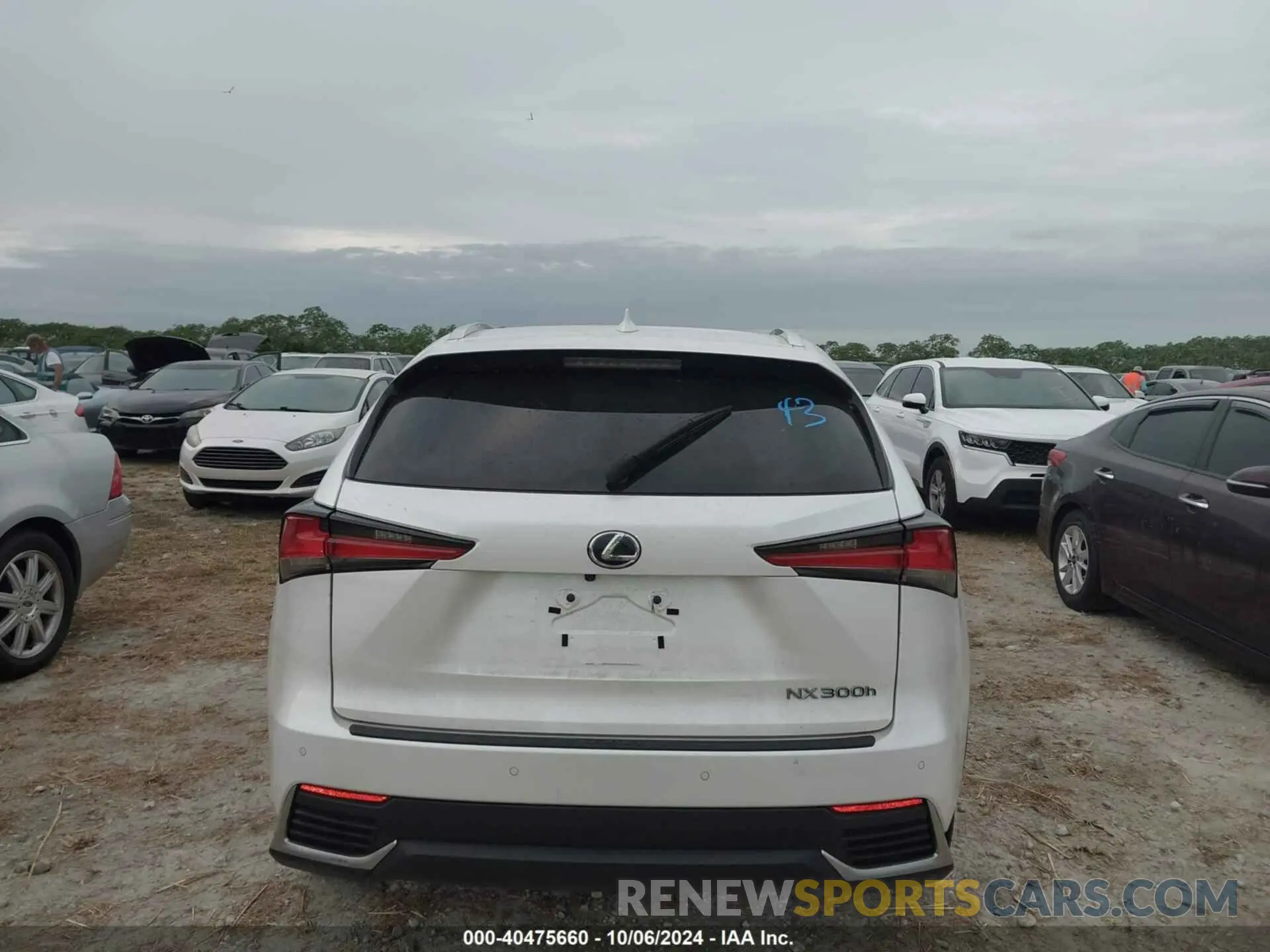 16 Фотография поврежденного автомобиля JTJGJRDZ0M2158841 LEXUS NX 2021