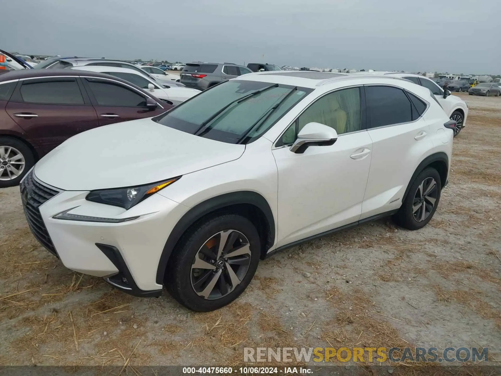 2 Фотография поврежденного автомобиля JTJGJRDZ0M2158841 LEXUS NX 2021