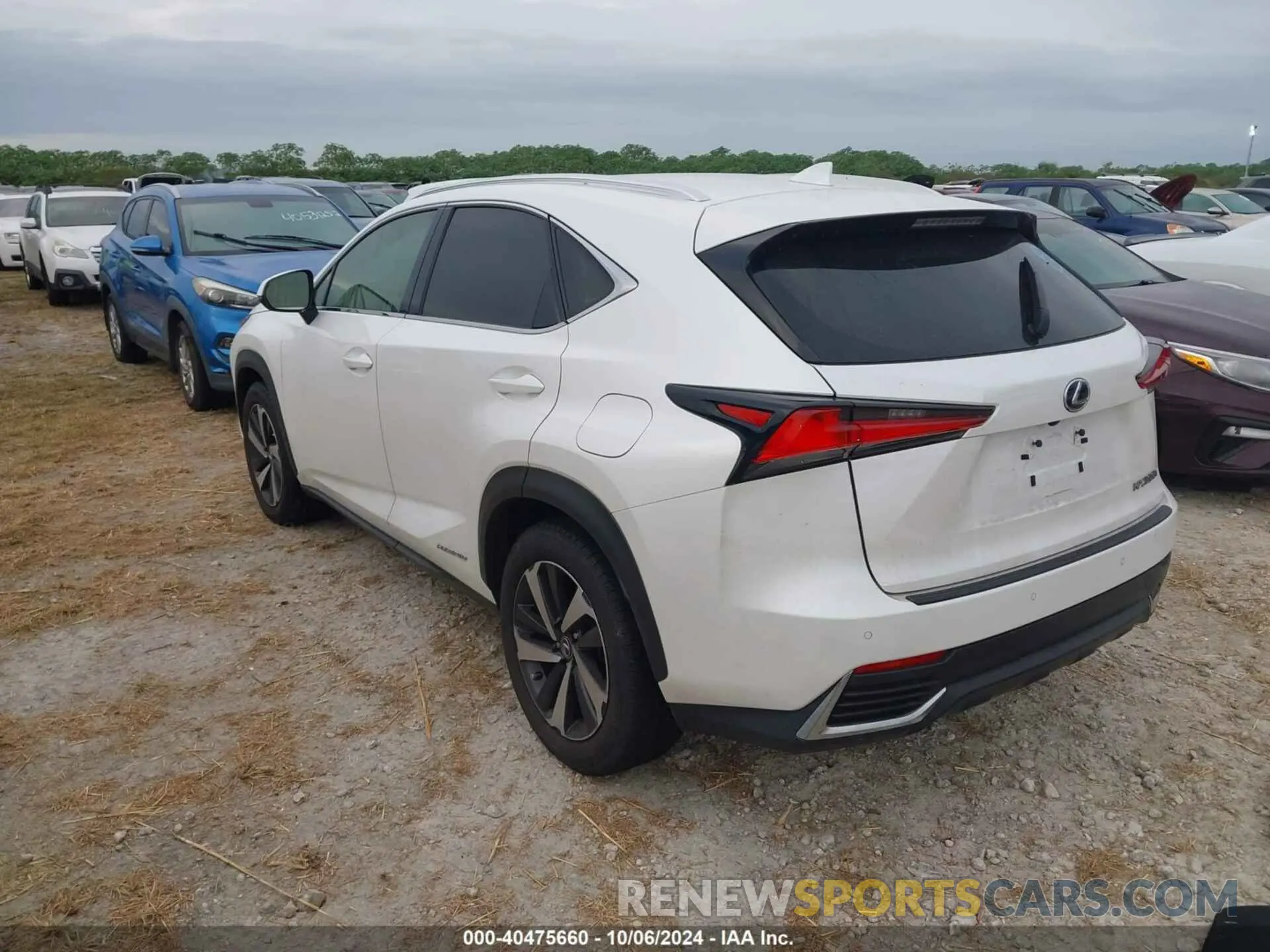 3 Фотография поврежденного автомобиля JTJGJRDZ0M2158841 LEXUS NX 2021