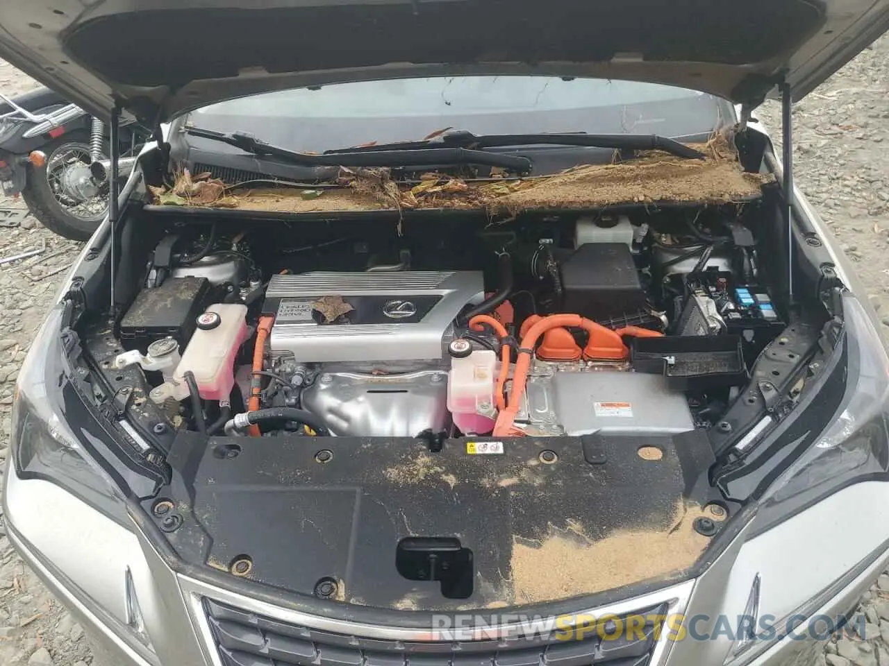12 Фотография поврежденного автомобиля JTJGJRDZ7M2161509 LEXUS NX 2021