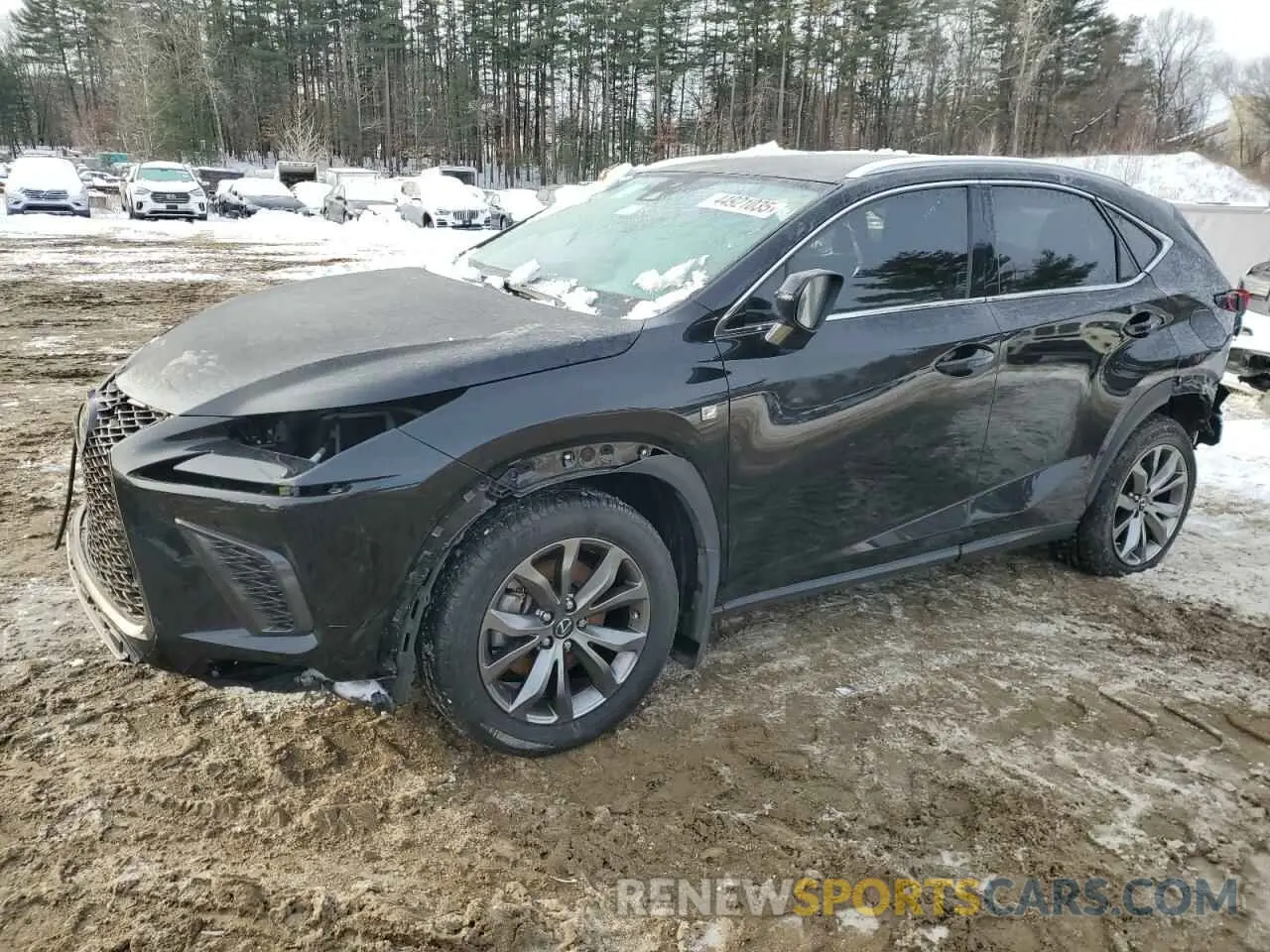 1 Фотография поврежденного автомобиля JTJSARBZ2M2203016 LEXUS NX 2021