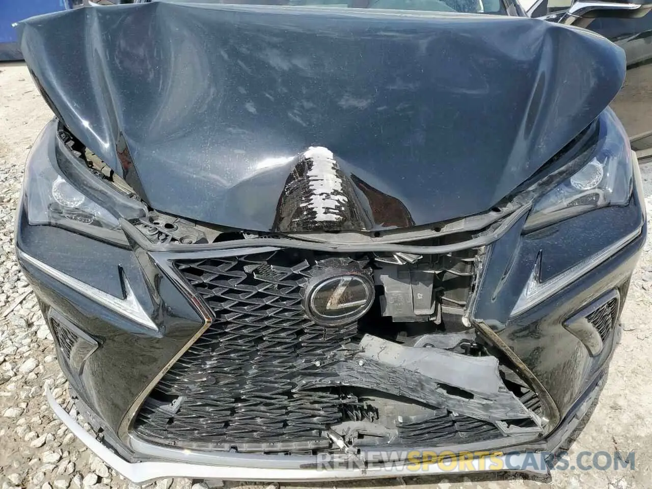 13 Фотография поврежденного автомобиля JTJSARBZ3M2202263 LEXUS NX 2021