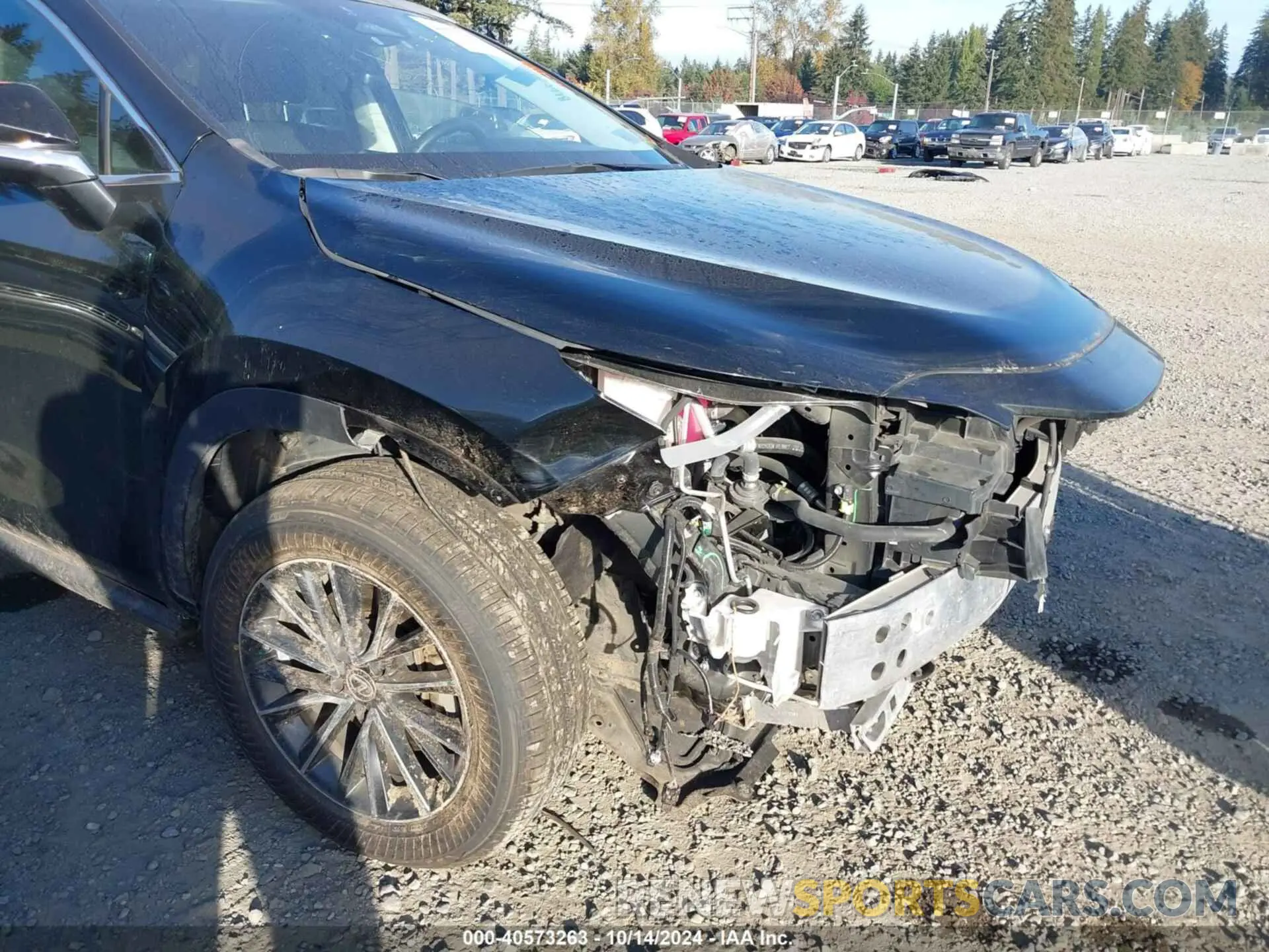 6 Фотография поврежденного автомобиля 2T2AKCEZ5PC010090 LEXUS NX 2023