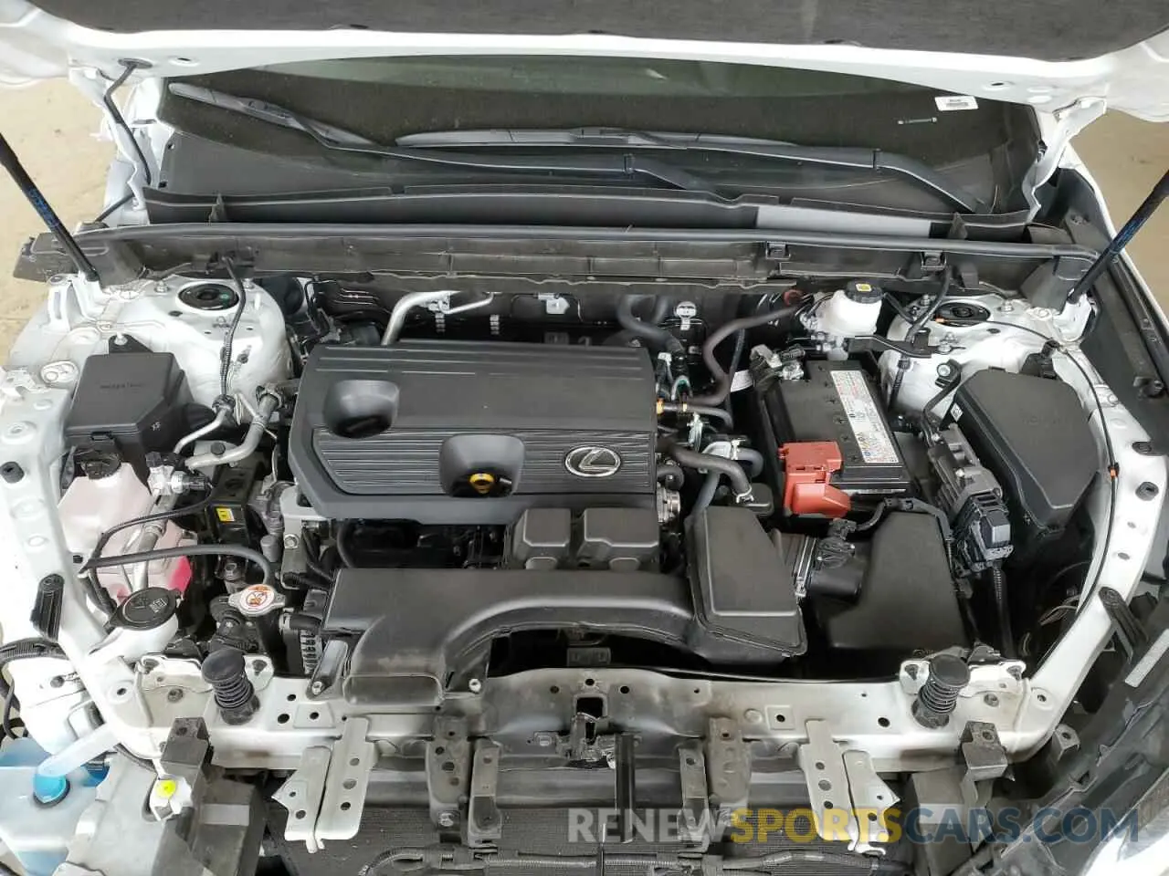 12 Photograph of a damaged car JTJADCEZ6N5000495 LEXUS NX 250 2022