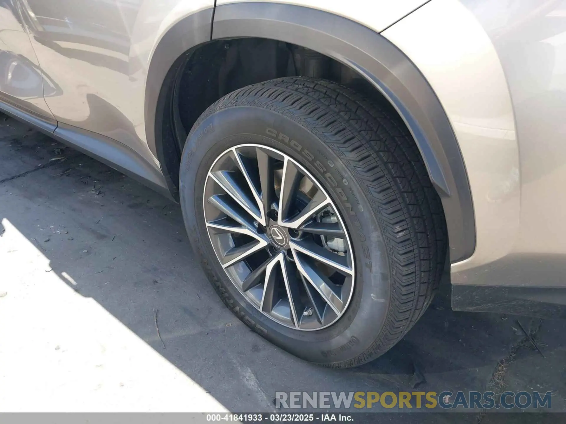 6 Фотография поврежденного автомобиля JTJADCEZ9N5000474 LEXUS NX 250 2022