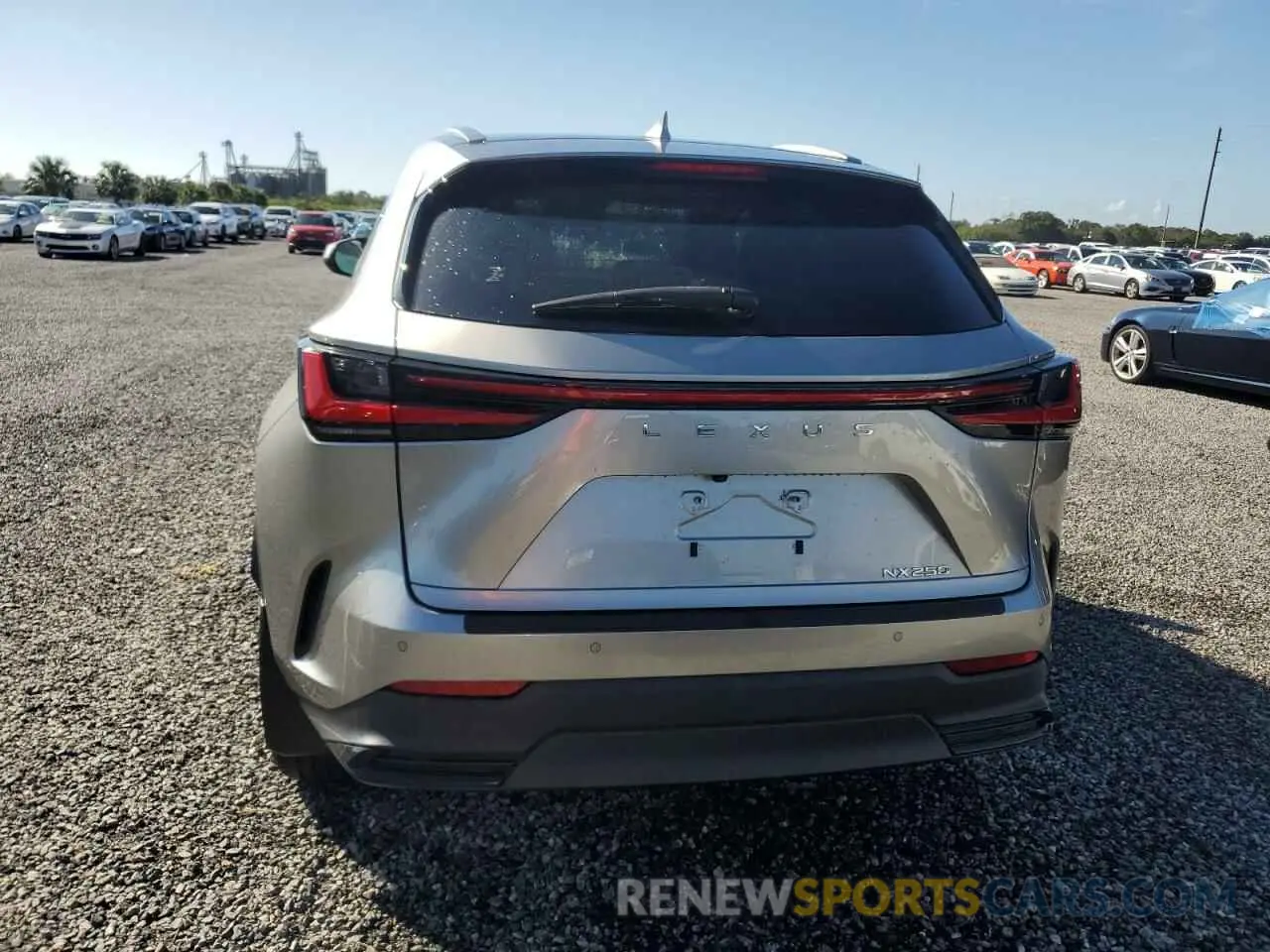 6 Фотография поврежденного автомобиля JTJGDCAZ9N5002290 LEXUS NX 250 2022