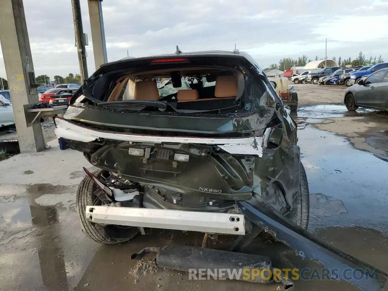 6 Фотография поврежденного автомобиля 2T2ADCAZ7PC005036 LEXUS NX 250 2023