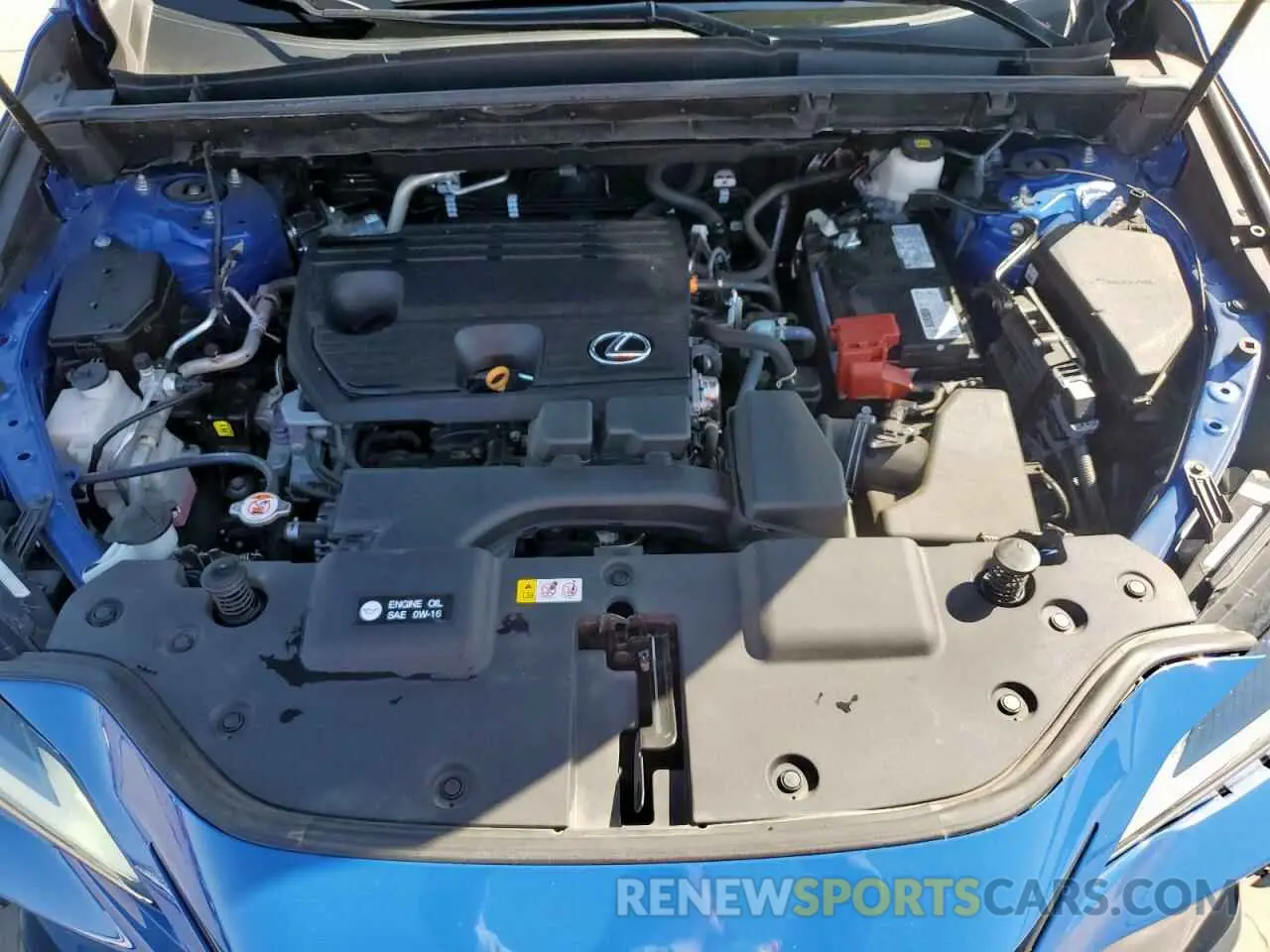 12 Photograph of a damaged car 2T2ADCAZ8PC004347 LEXUS NX 250 2023