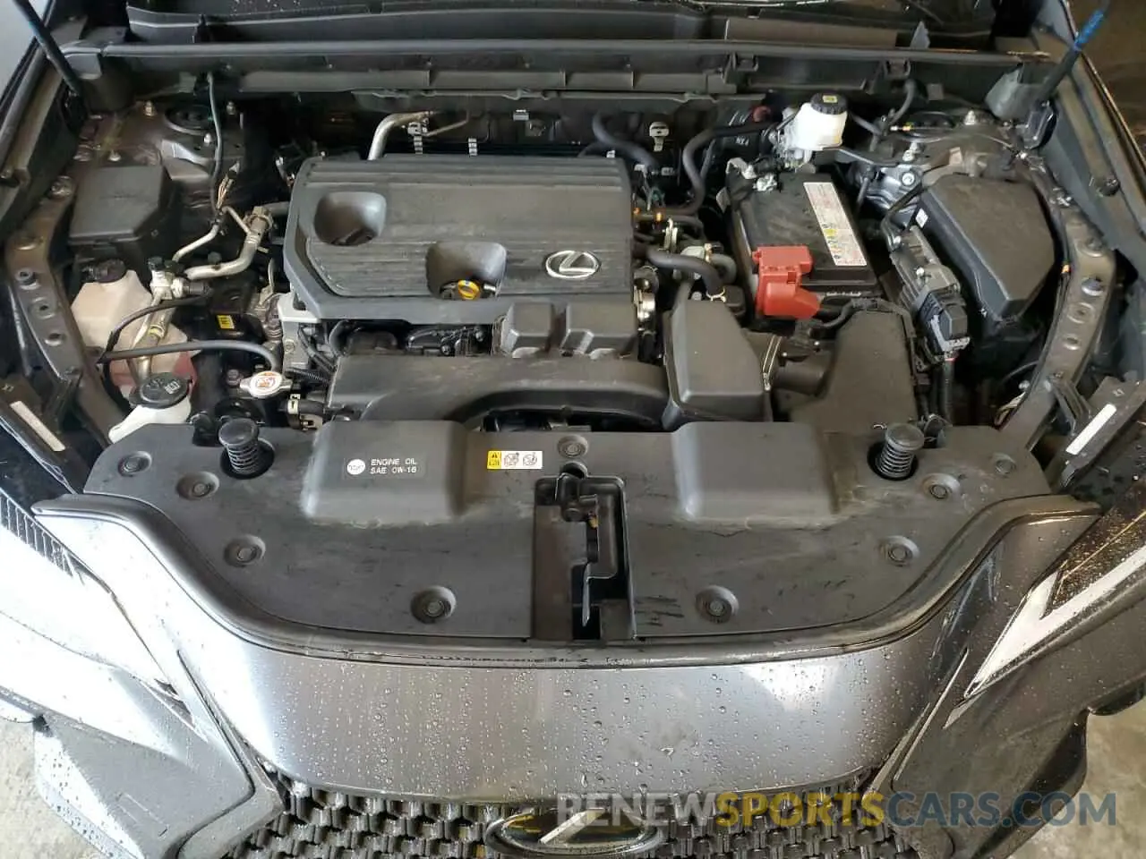 13 Фотография поврежденного автомобиля JTJADCAZ5P5013411 LEXUS NX 250 2023