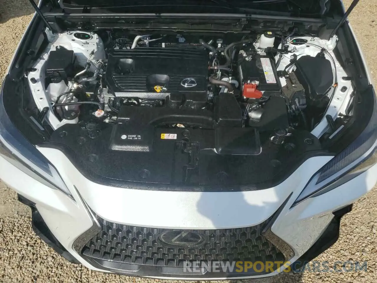 12 Photograph of a damaged car JTJGDCAZ2P5009827 LEXUS NX 250 2023