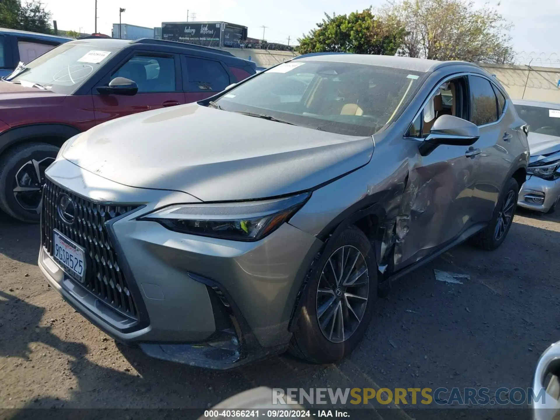 2 Photograph of a damaged car 2T2ADCAZ1RC007027 LEXUS NX 250 2024
