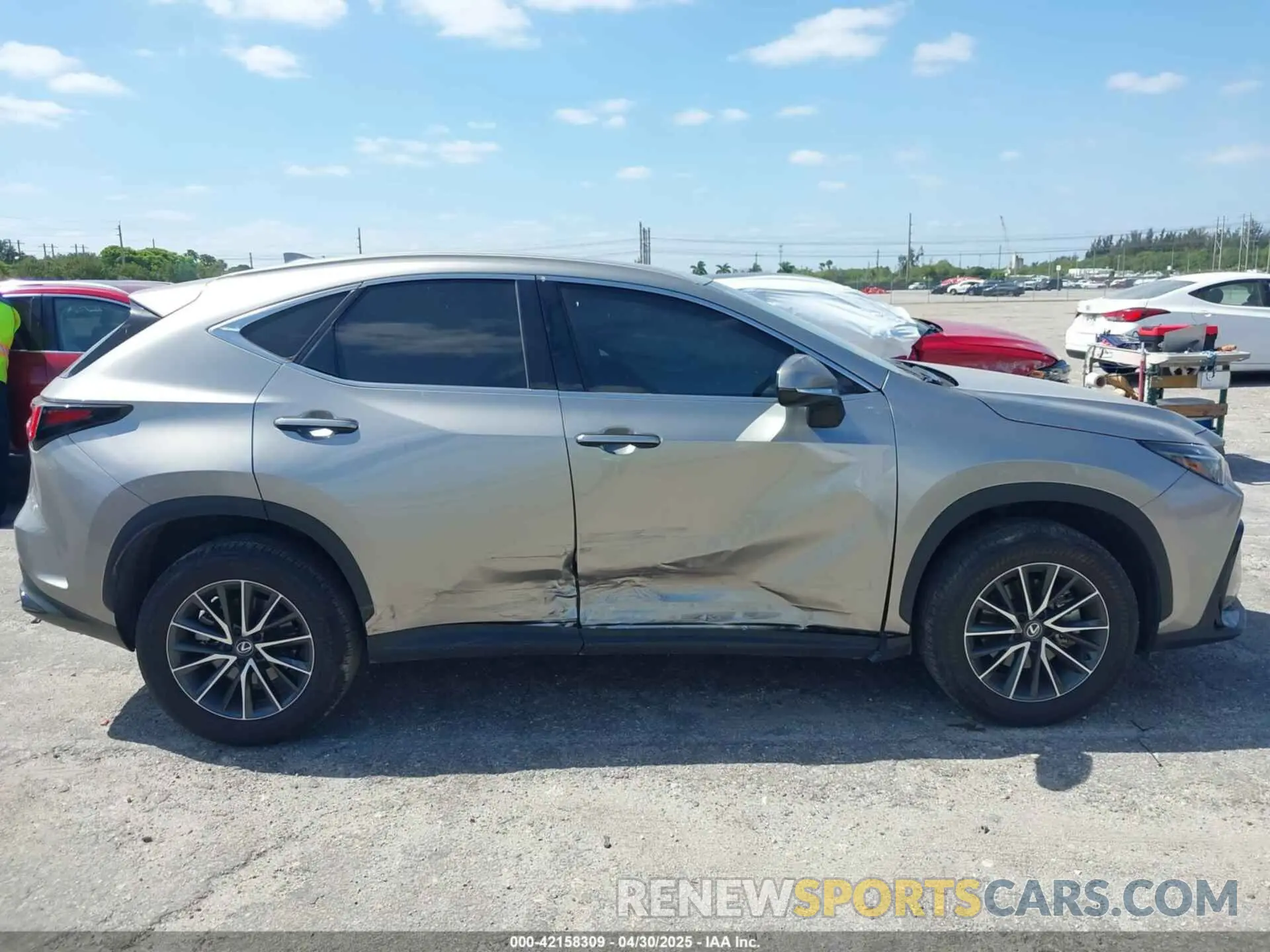 13 Photograph of a damaged car 2T2ADCAZ9RC009348 LEXUS NX 250 2024