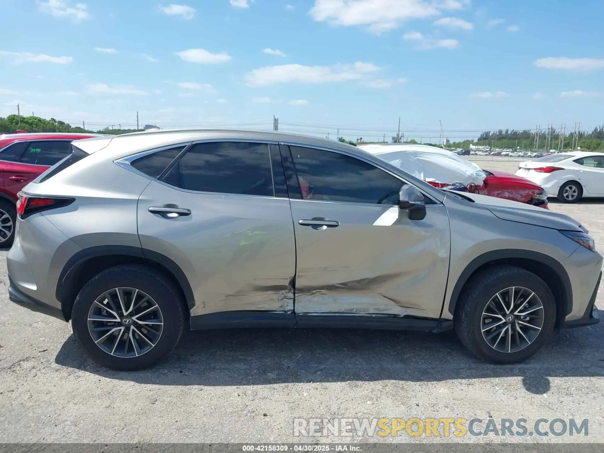 6 Photograph of a damaged car 2T2ADCAZ9RC009348 LEXUS NX 250 2024