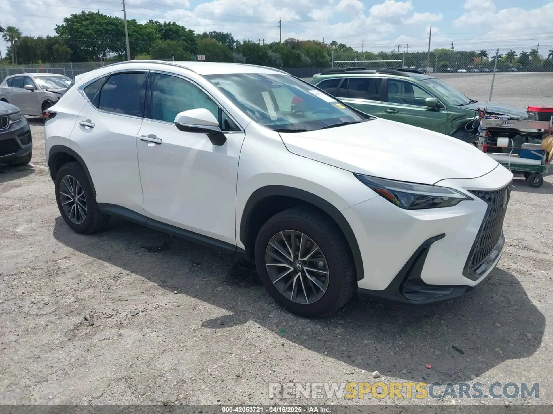 1 Фотография поврежденного автомобиля 2T2ADCAZ9RC015022 LEXUS NX 250 2024