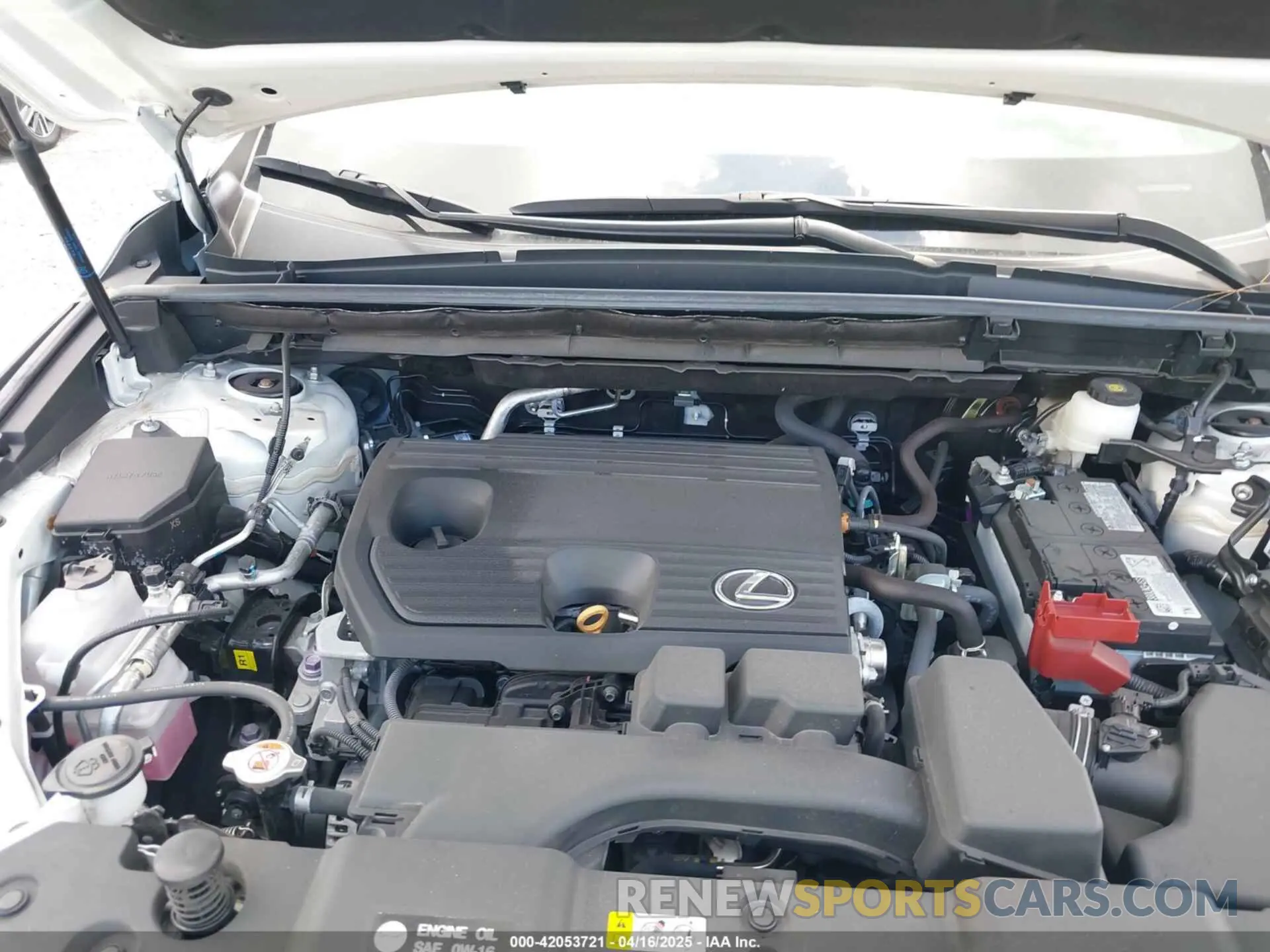 10 Фотография поврежденного автомобиля 2T2ADCAZ9RC015022 LEXUS NX 250 2024