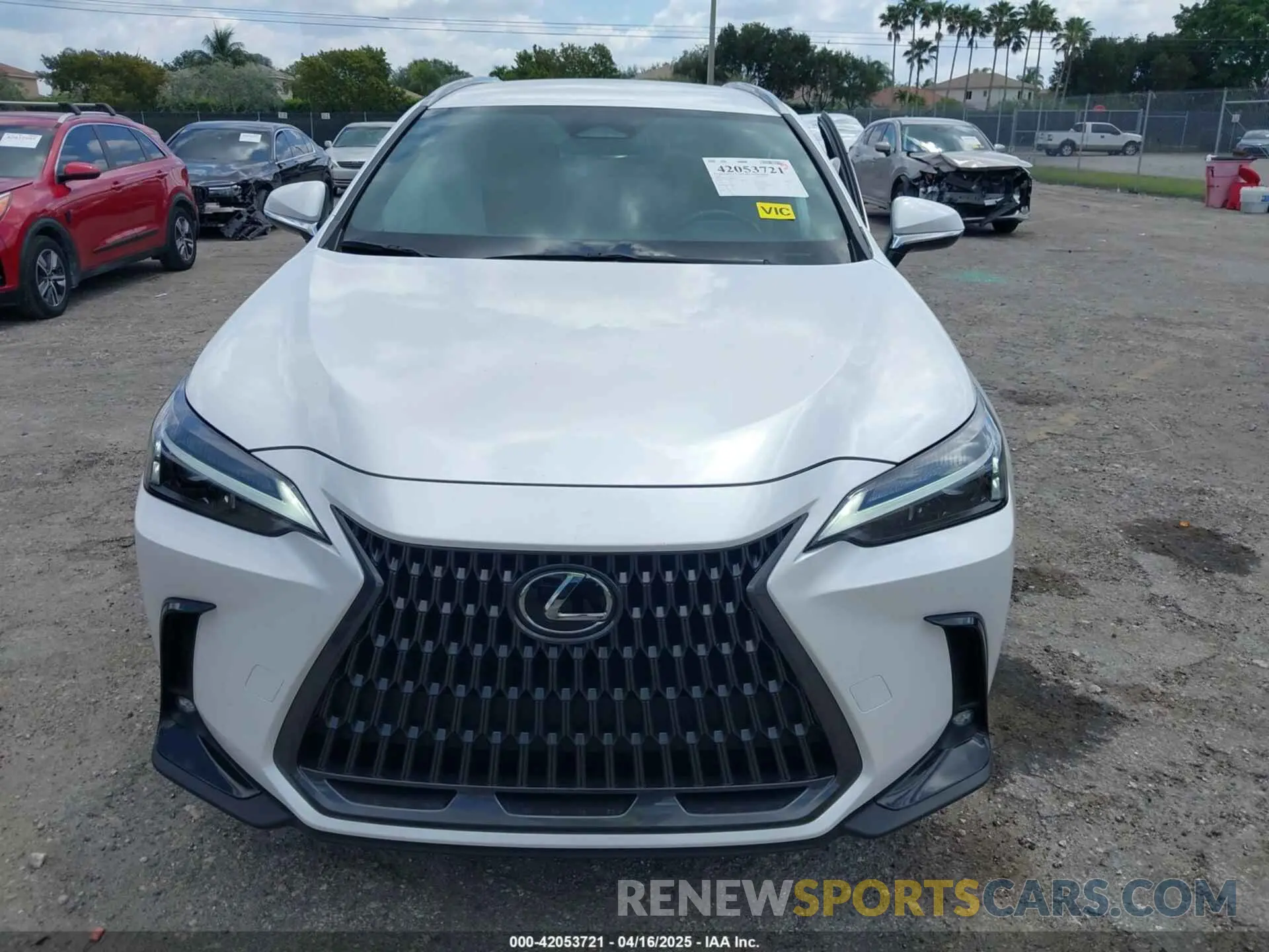 12 Фотография поврежденного автомобиля 2T2ADCAZ9RC015022 LEXUS NX 250 2024