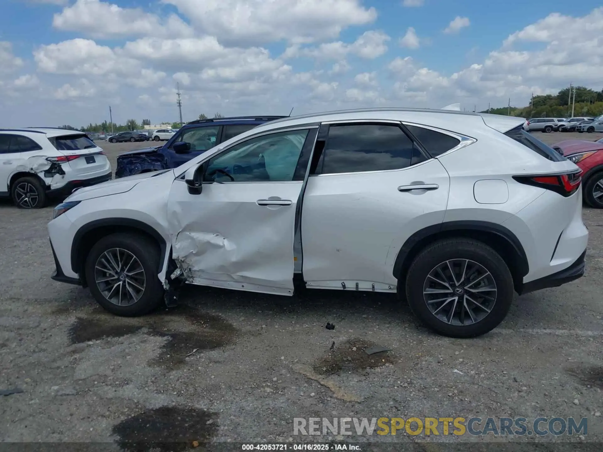 14 Фотография поврежденного автомобиля 2T2ADCAZ9RC015022 LEXUS NX 250 2024