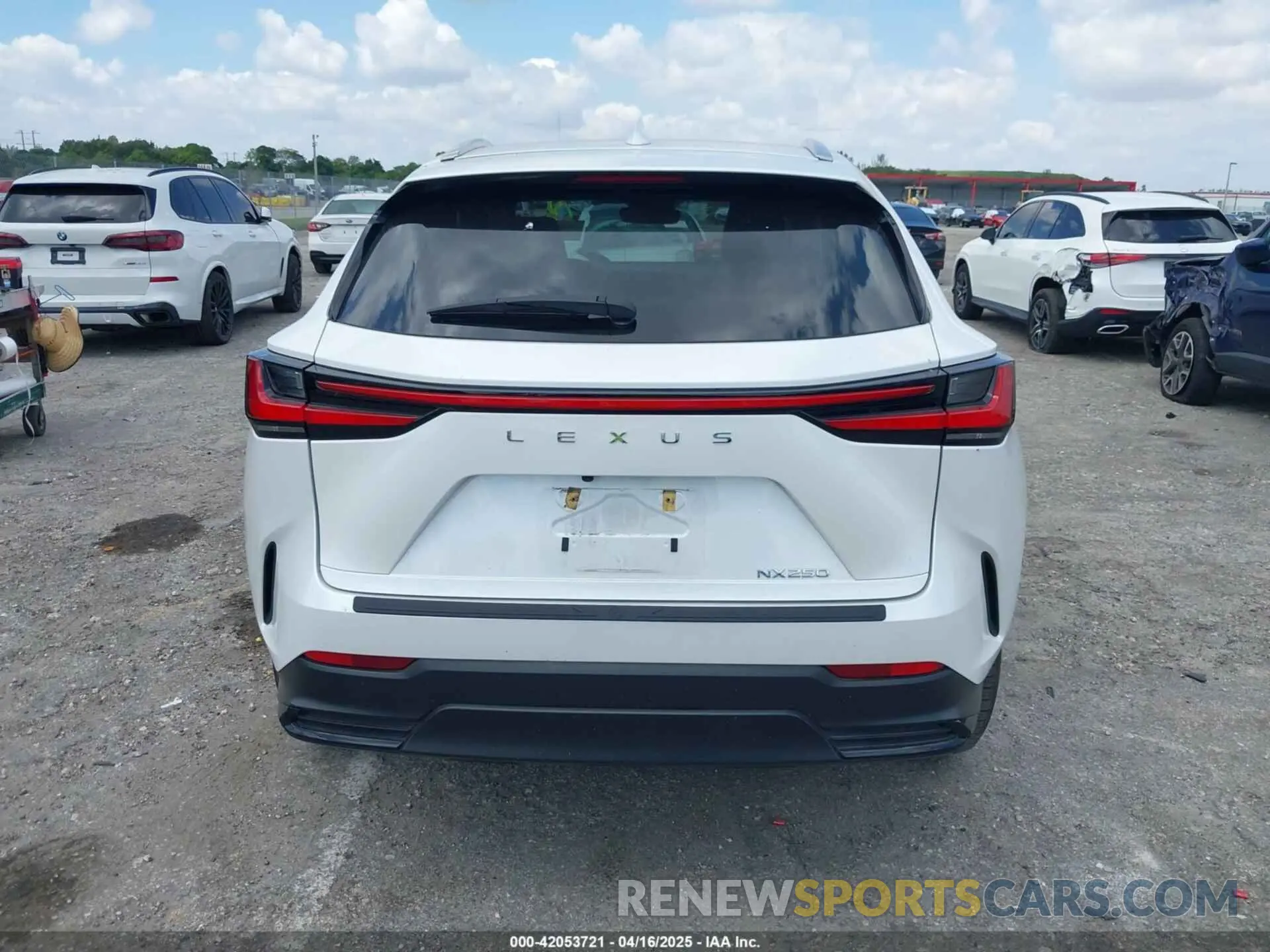 16 Фотография поврежденного автомобиля 2T2ADCAZ9RC015022 LEXUS NX 250 2024