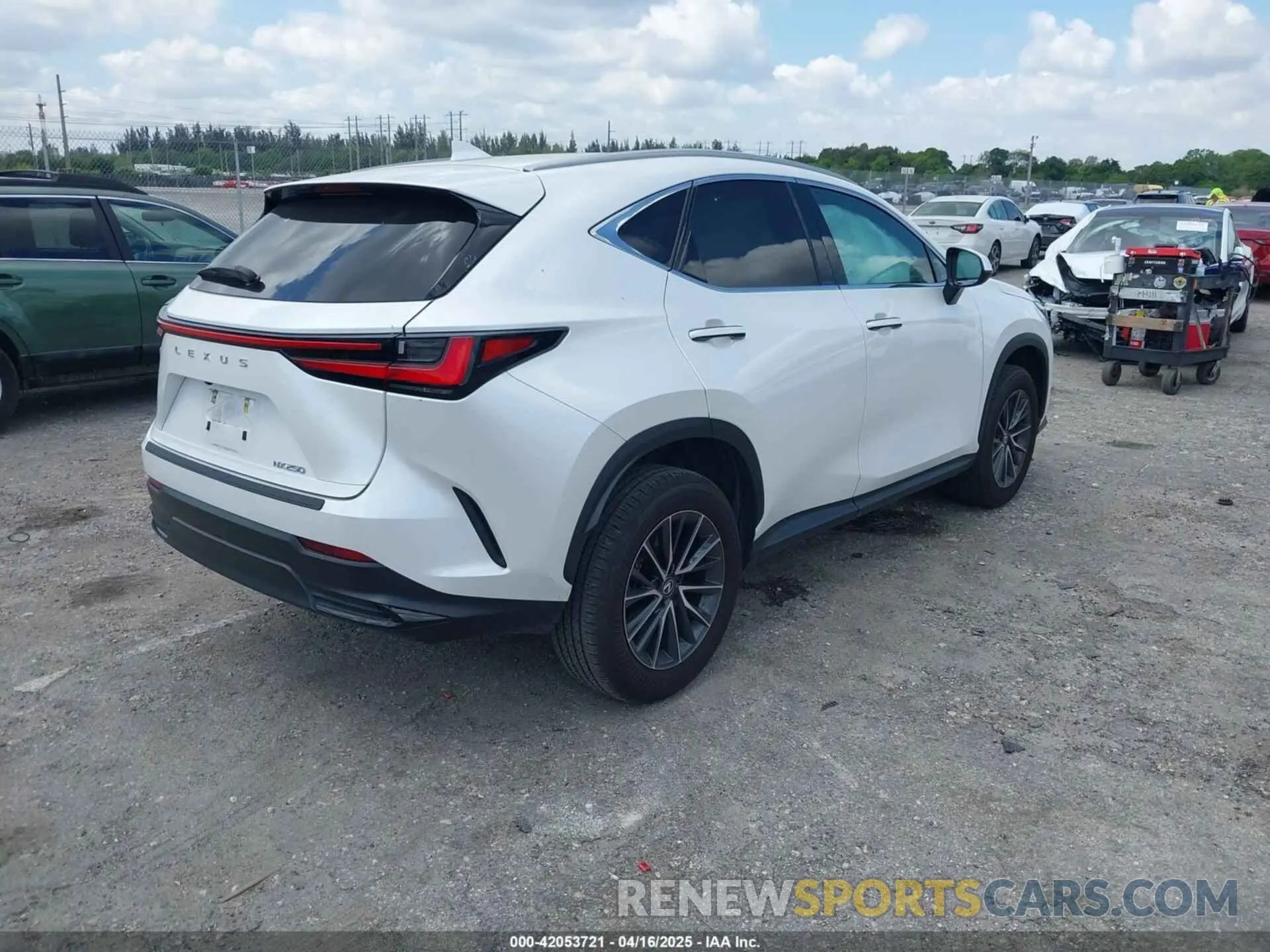 4 Фотография поврежденного автомобиля 2T2ADCAZ9RC015022 LEXUS NX 250 2024