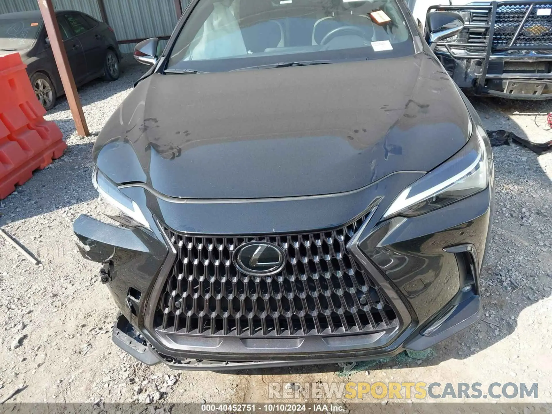 13 Фотография поврежденного автомобиля 2T2GDCAZ0RC008244 LEXUS NX 250 2024