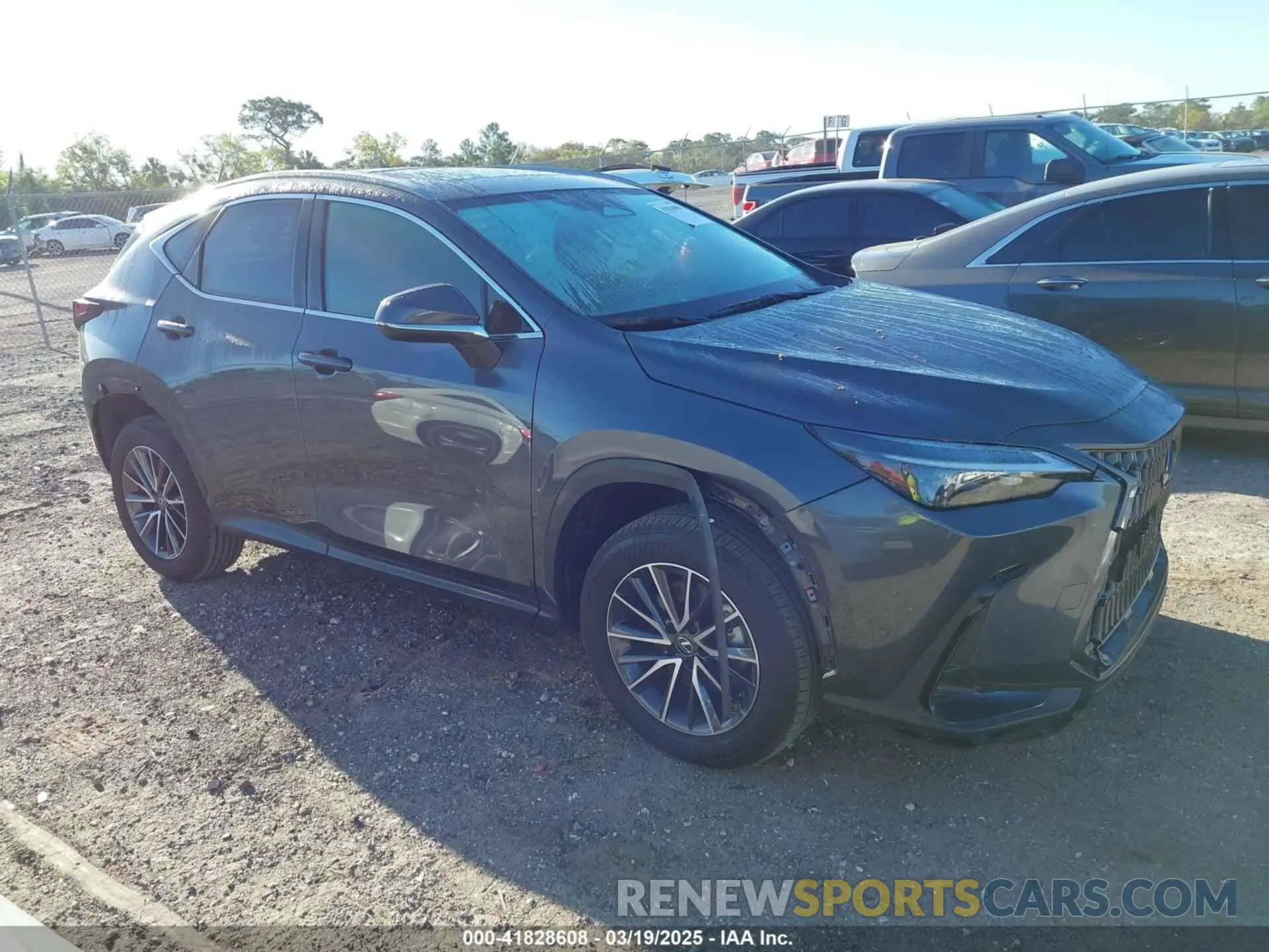 1 Photograph of a damaged car JTJGDCAZXR5020805 LEXUS NX 250 2024