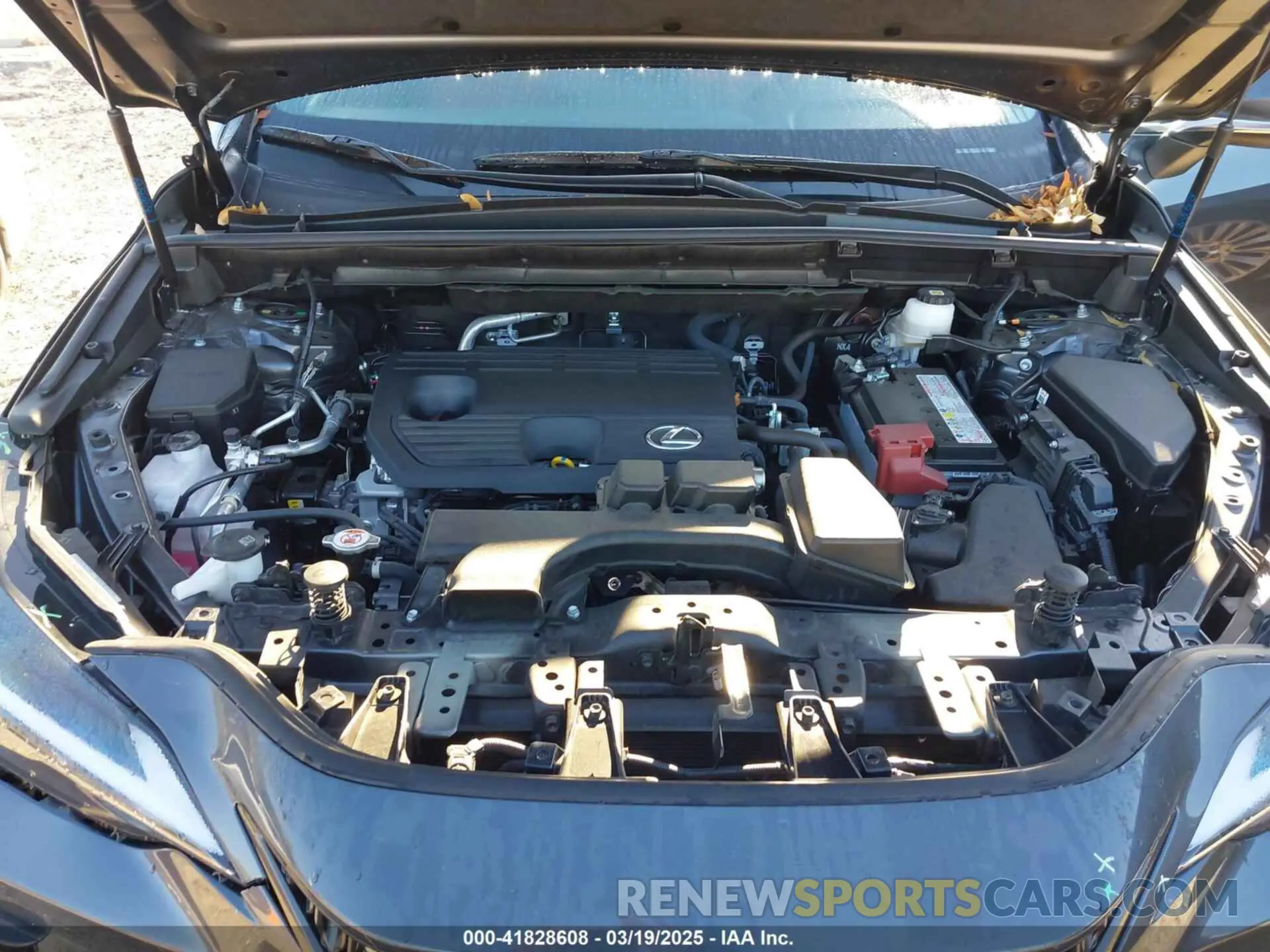 10 Photograph of a damaged car JTJGDCAZXR5020805 LEXUS NX 250 2024
