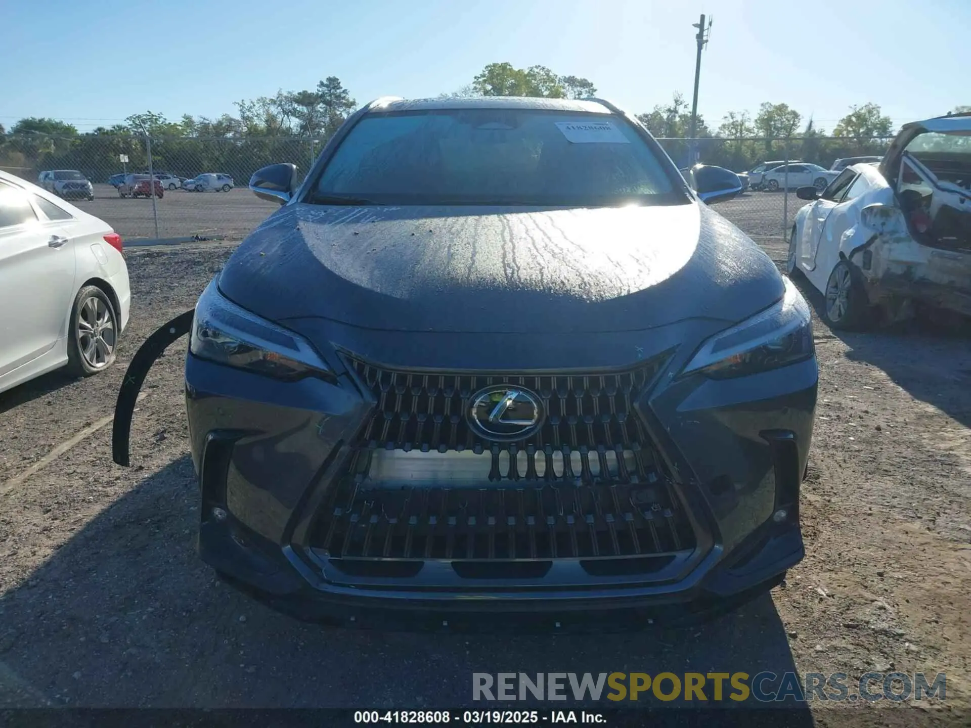 12 Photograph of a damaged car JTJGDCAZXR5020805 LEXUS NX 250 2024