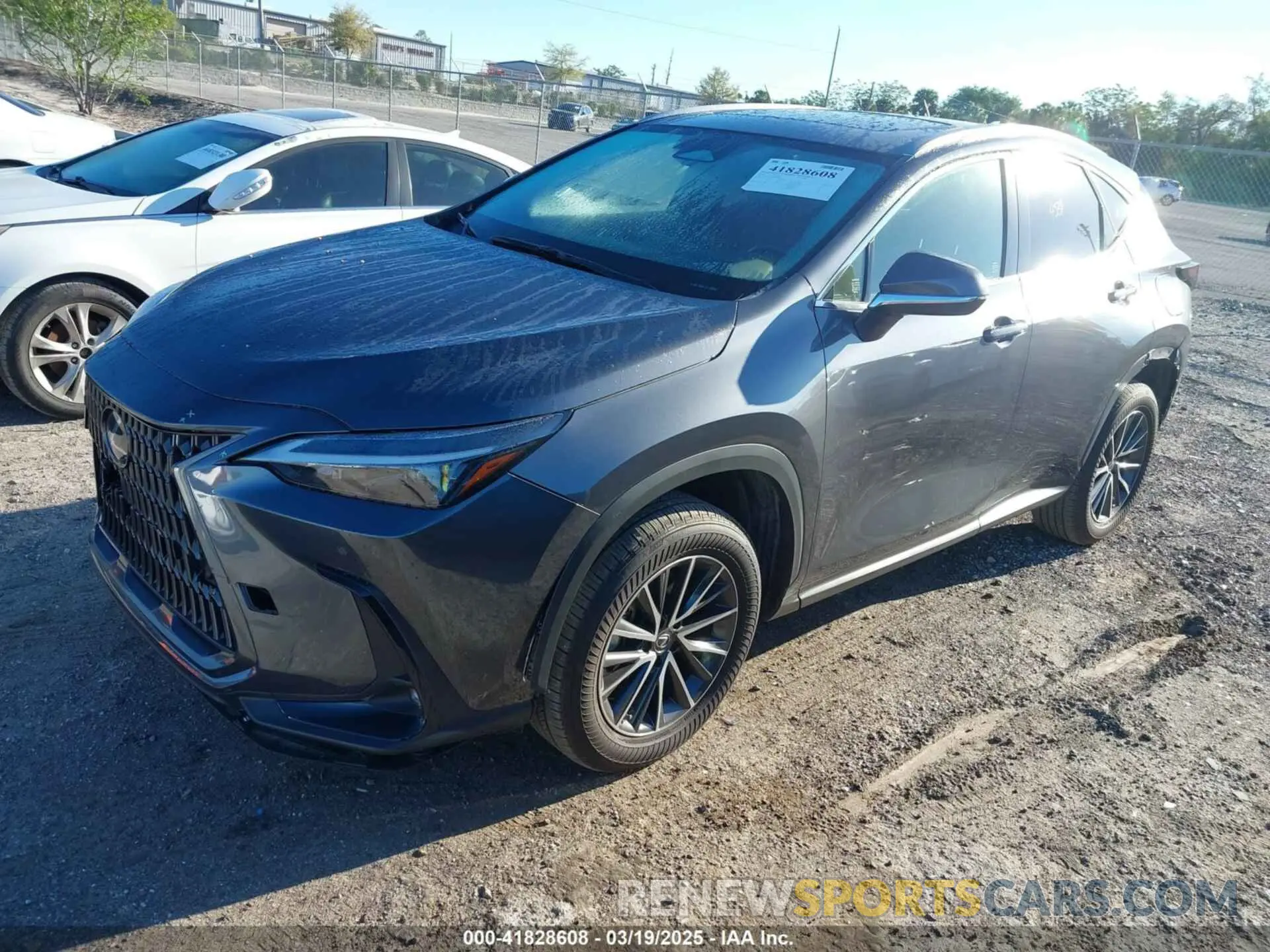2 Photograph of a damaged car JTJGDCAZXR5020805 LEXUS NX 250 2024