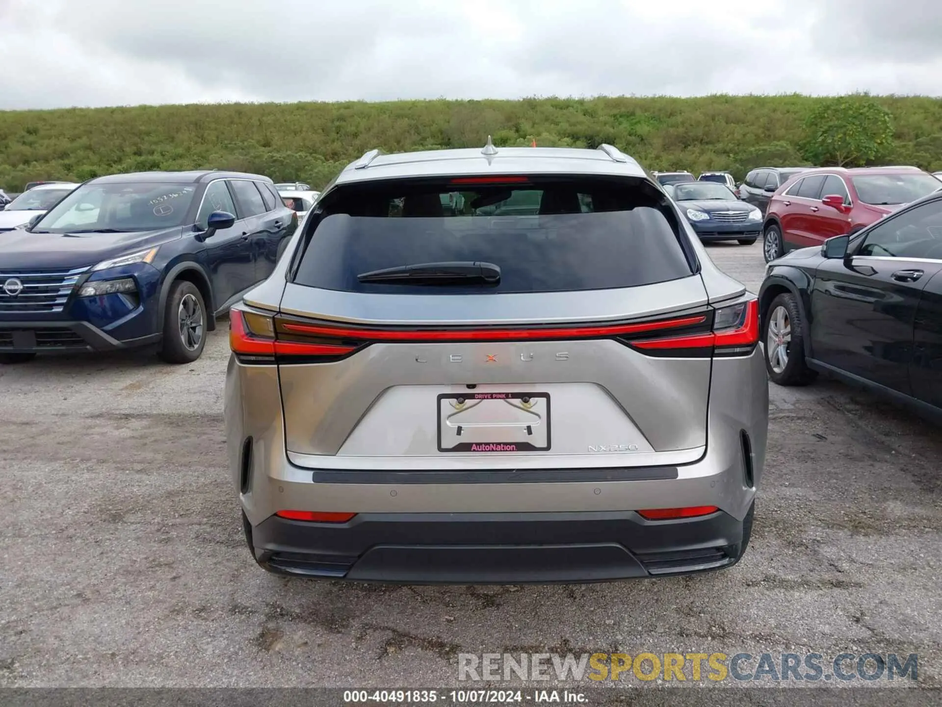 16 Фотография поврежденного автомобиля 2T2GDCAZ3SC020880 LEXUS NX 250 2025