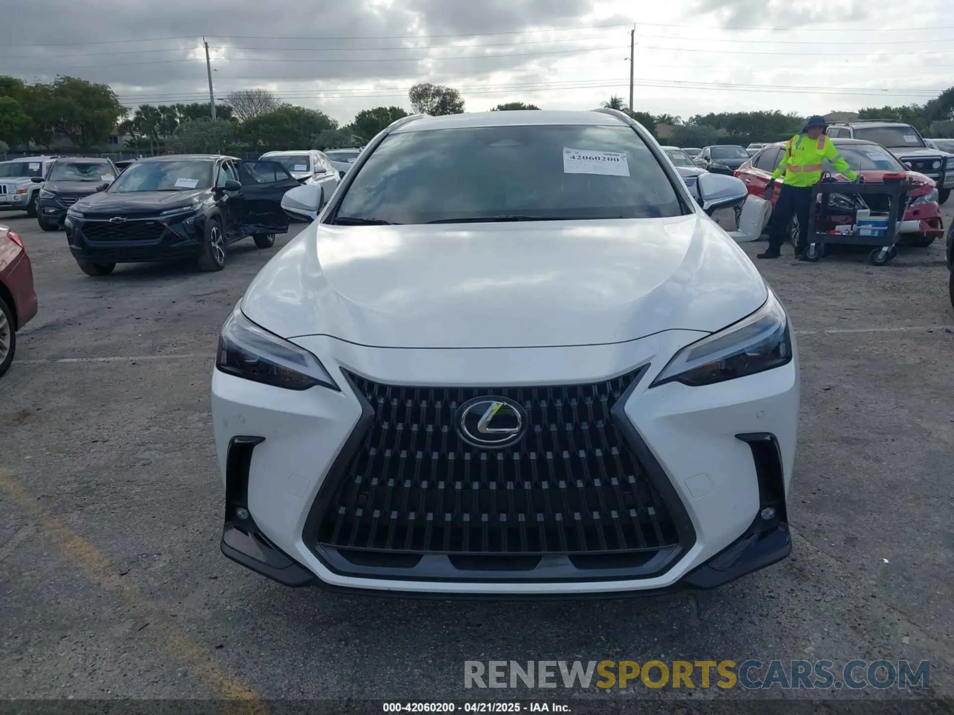 13 Photograph of a damaged car JTJADCAZ1S2022956 LEXUS NX 250 2025