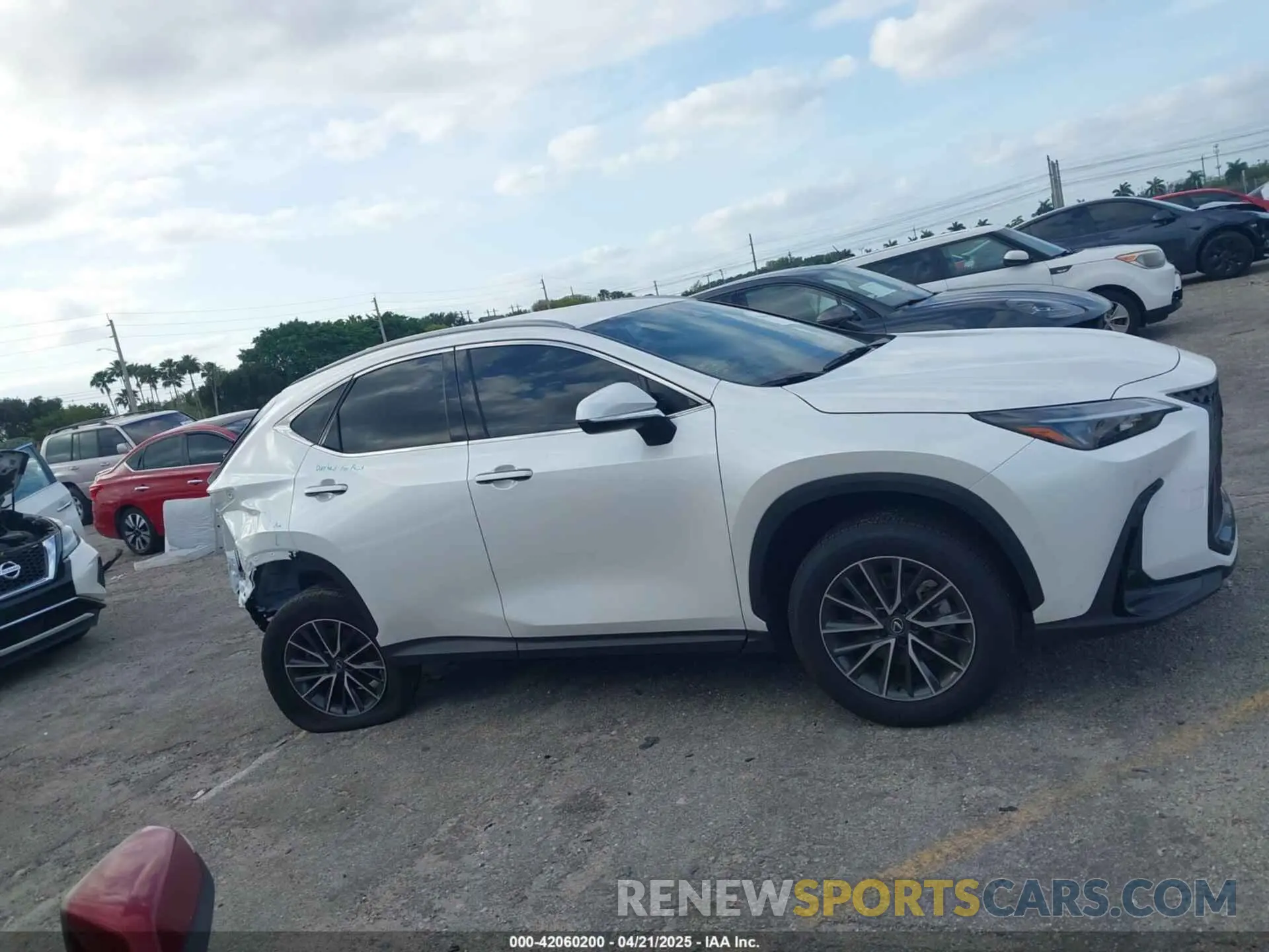 14 Photograph of a damaged car JTJADCAZ1S2022956 LEXUS NX 250 2025