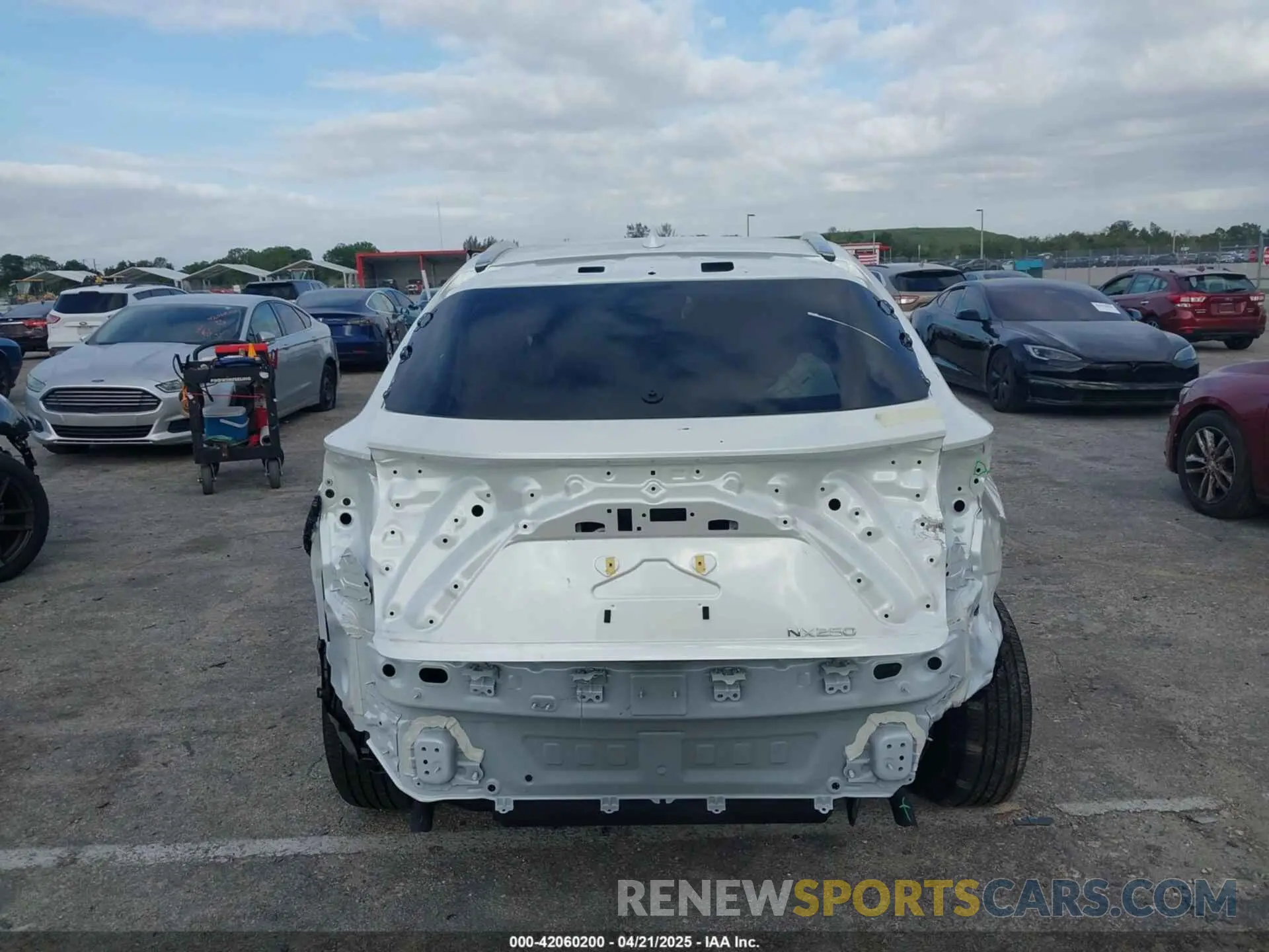 17 Photograph of a damaged car JTJADCAZ1S2022956 LEXUS NX 250 2025