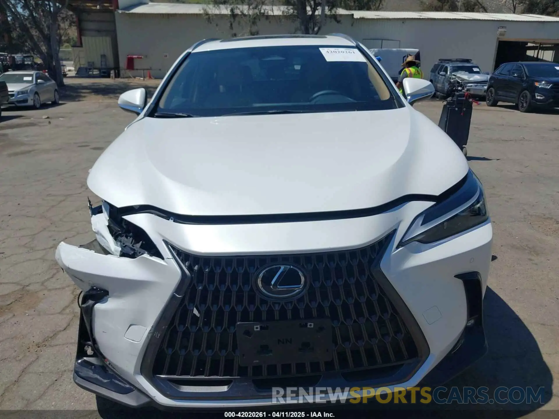 12 Photograph of a damaged car JTJGDCAZ6S5024713 LEXUS NX 250 2025