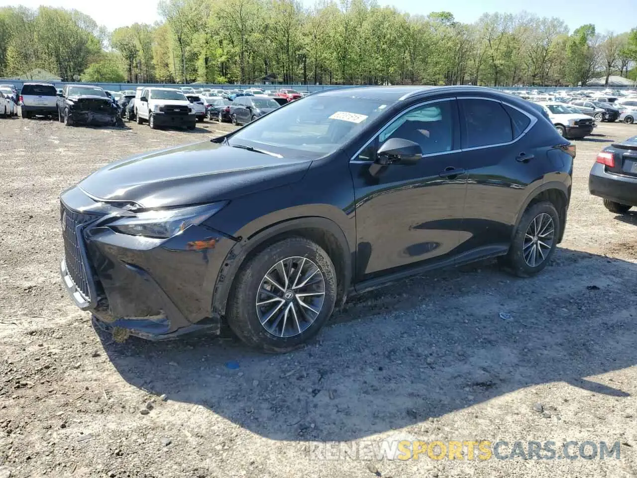 1 Фотография поврежденного автомобиля 2T2ADCAZ4RC009662 LEXUS NX 250 BAS 2024