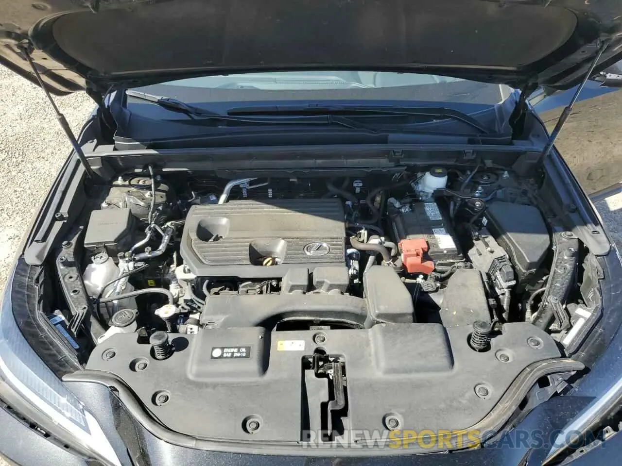 13 Фотография поврежденного автомобиля 2T2ADCAZ4RC009662 LEXUS NX 250 BAS 2024