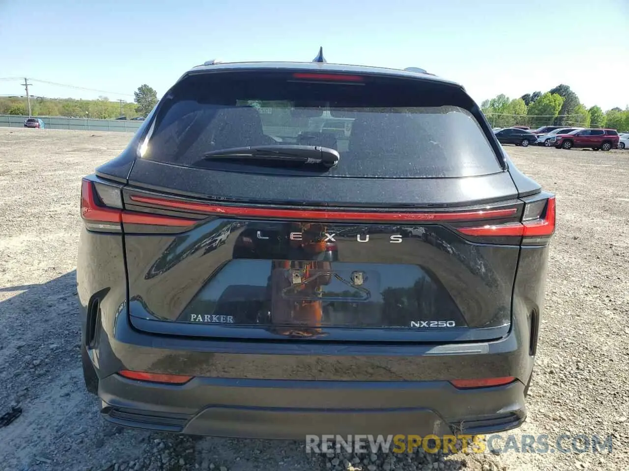 6 Фотография поврежденного автомобиля 2T2ADCAZ4RC009662 LEXUS NX 250 BAS 2024