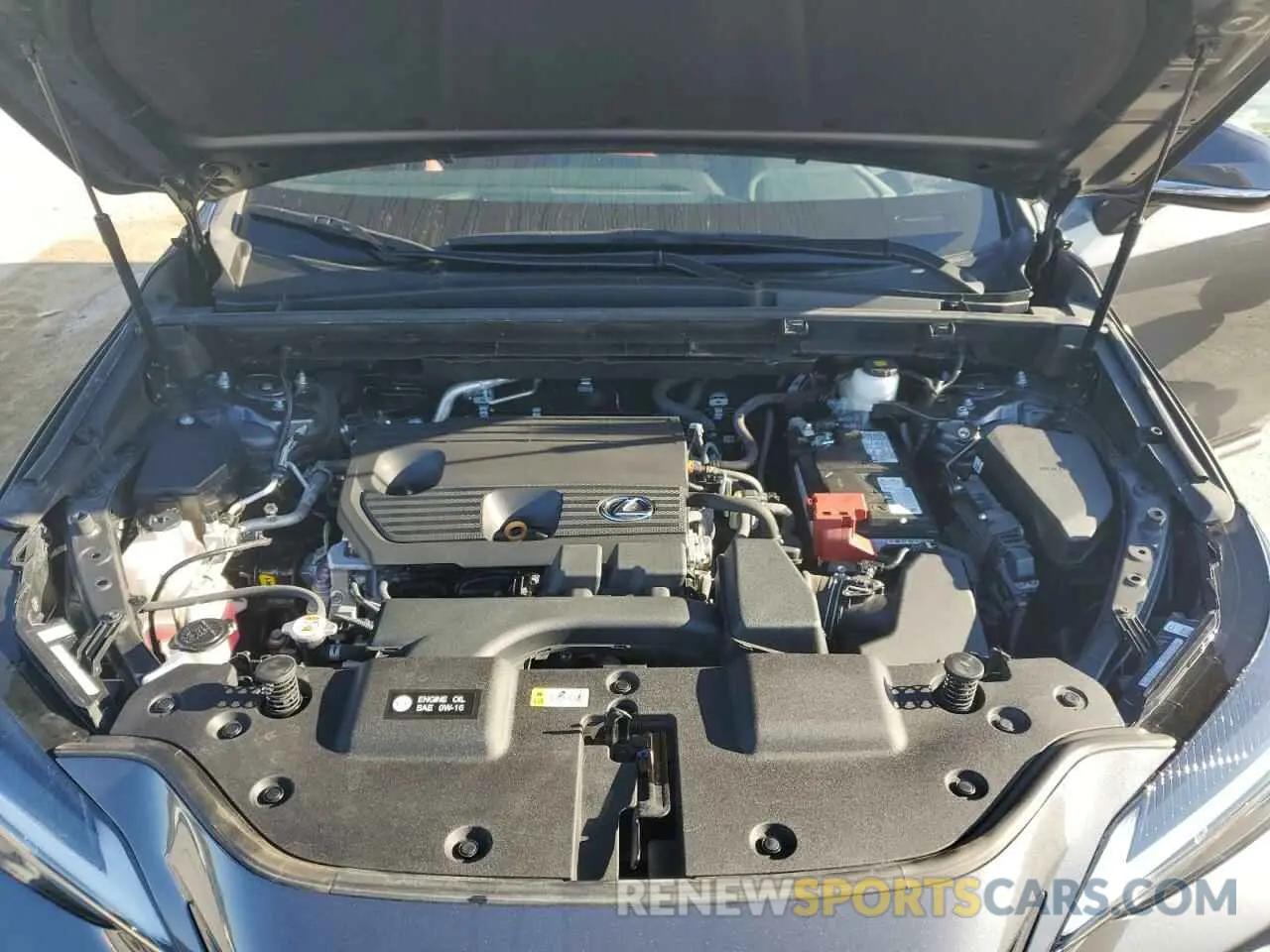 12 Photograph of a damaged car 2T2ADCAZ5RC008083 LEXUS NX 250 BAS 2024