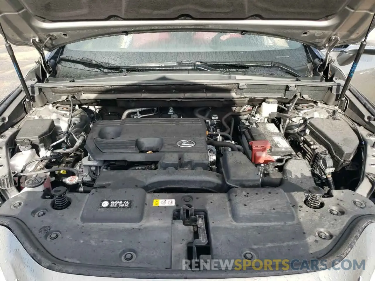 12 Фотография поврежденного автомобиля 2T2ADCAZ6RC007136 LEXUS NX 250 BAS 2024