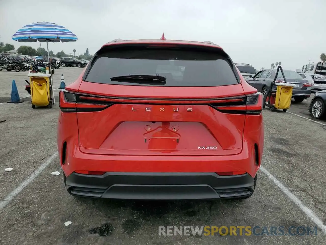 6 Photograph of a damaged car JTJADCAZ3R2009717 LEXUS NX 250 BAS 2024