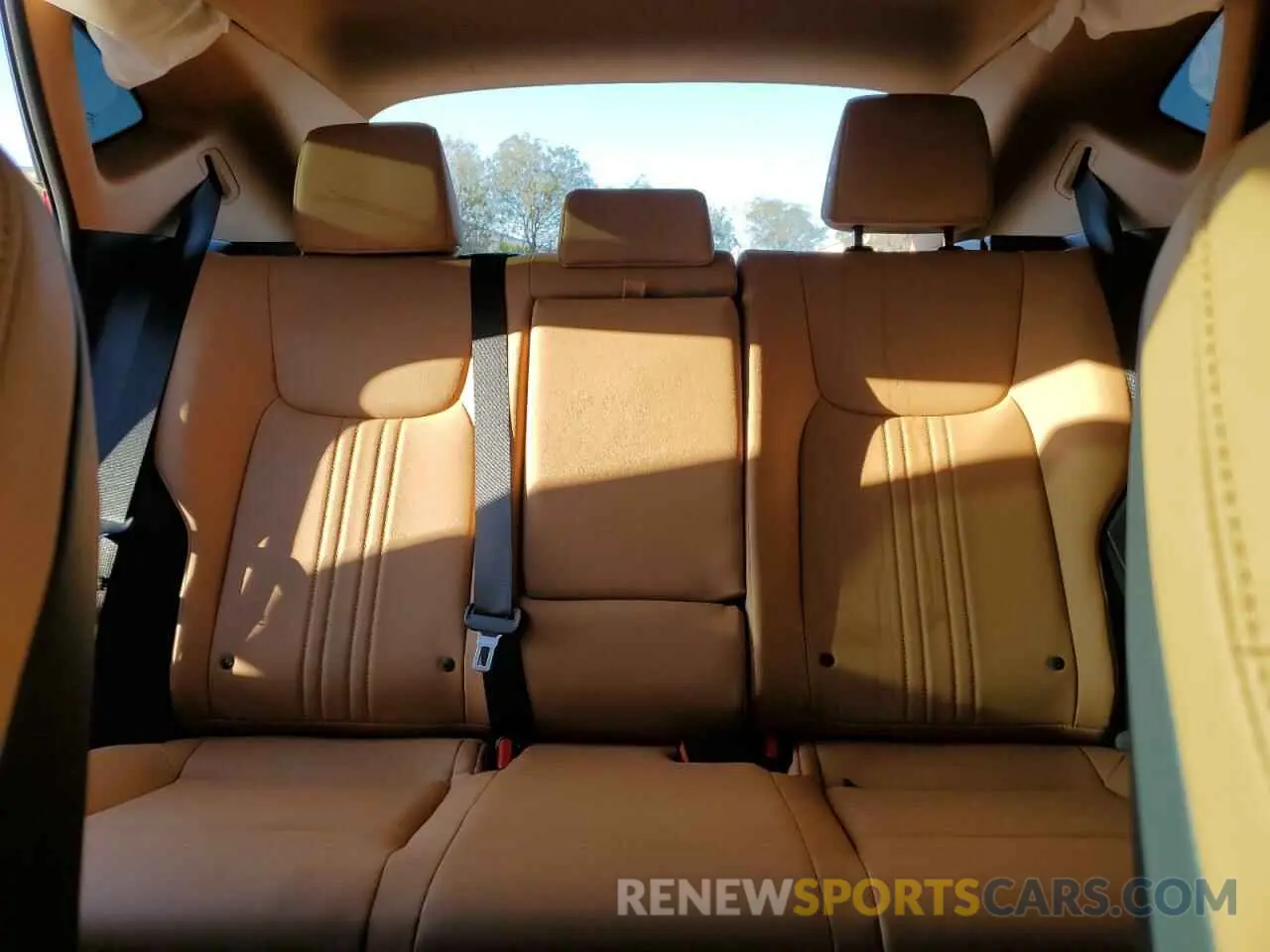 10 Photograph of a damaged car 2T2ADCAZ1SC025484 LEXUS NX 250 BAS 2025