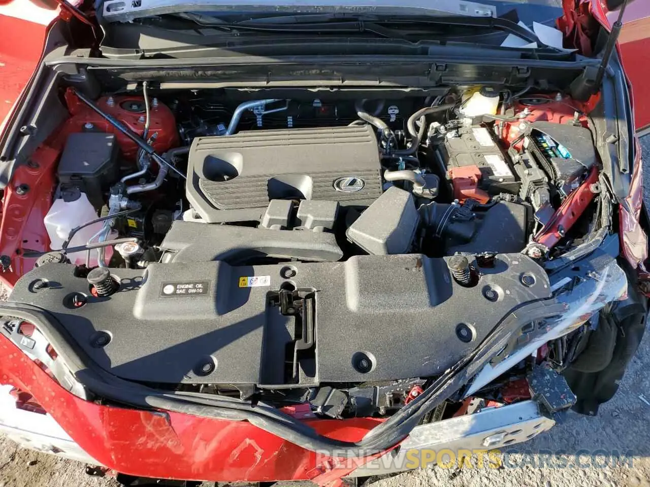12 Photograph of a damaged car 2T2ADCAZ1SC025484 LEXUS NX 250 BAS 2025