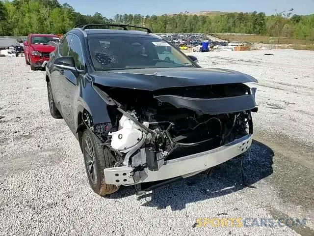 11 Фотография поврежденного автомобиля 2T2ADCAZ2SC022917 LEXUS NX 250 BAS 2025