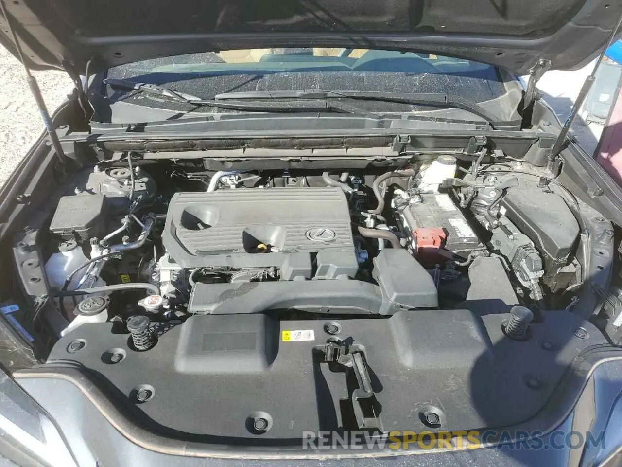 12 Photograph of a damaged car 2T2ADCAZ8SC019651 LEXUS NX 250 BAS 2025