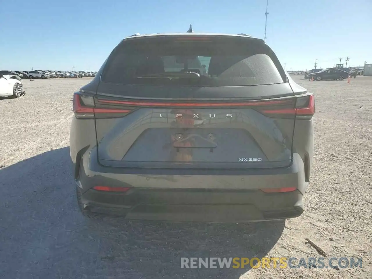 6 Photograph of a damaged car 2T2ADCAZ8SC019651 LEXUS NX 250 BAS 2025
